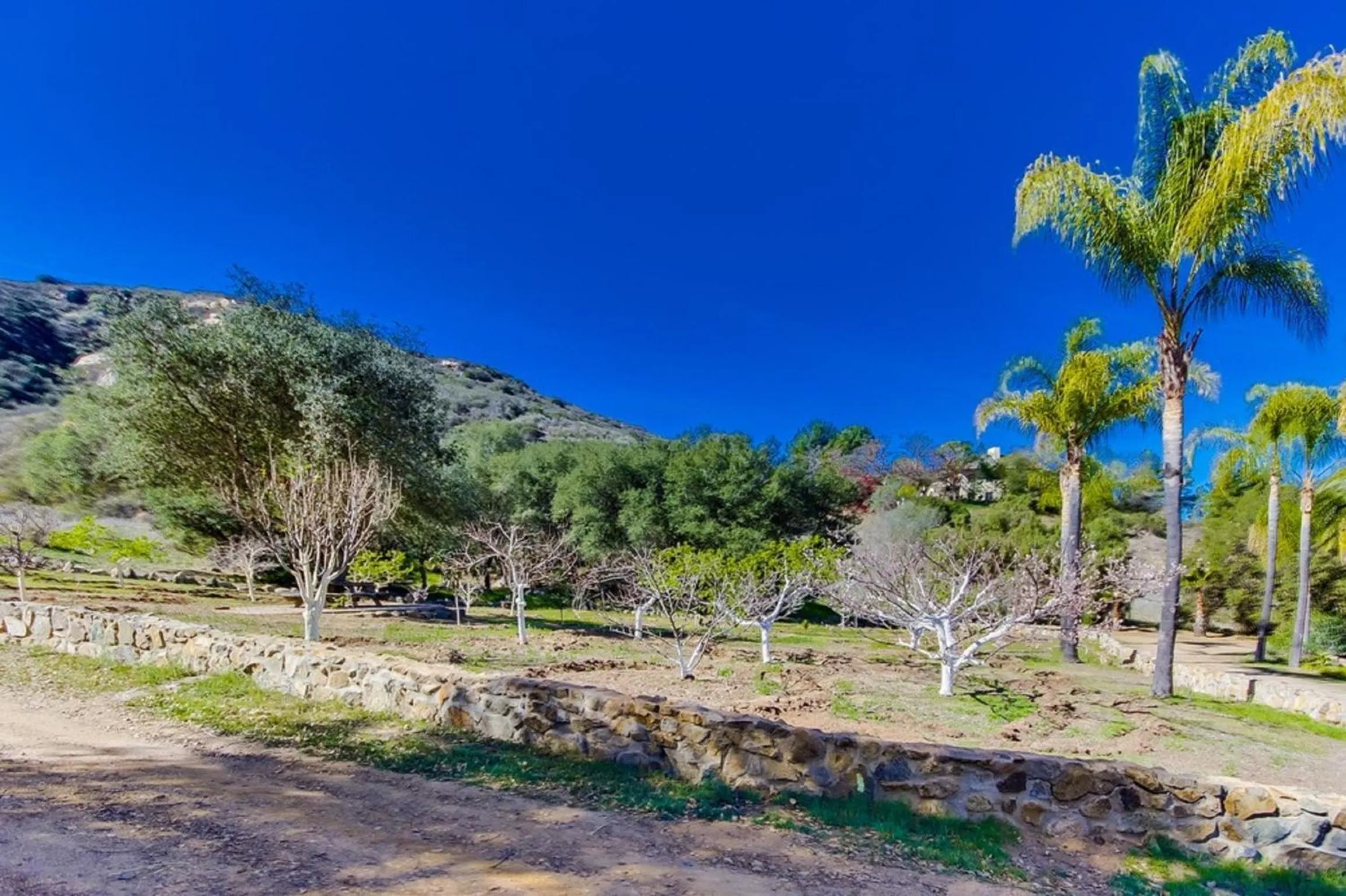 Area and facilities in Vineyard Hacienda