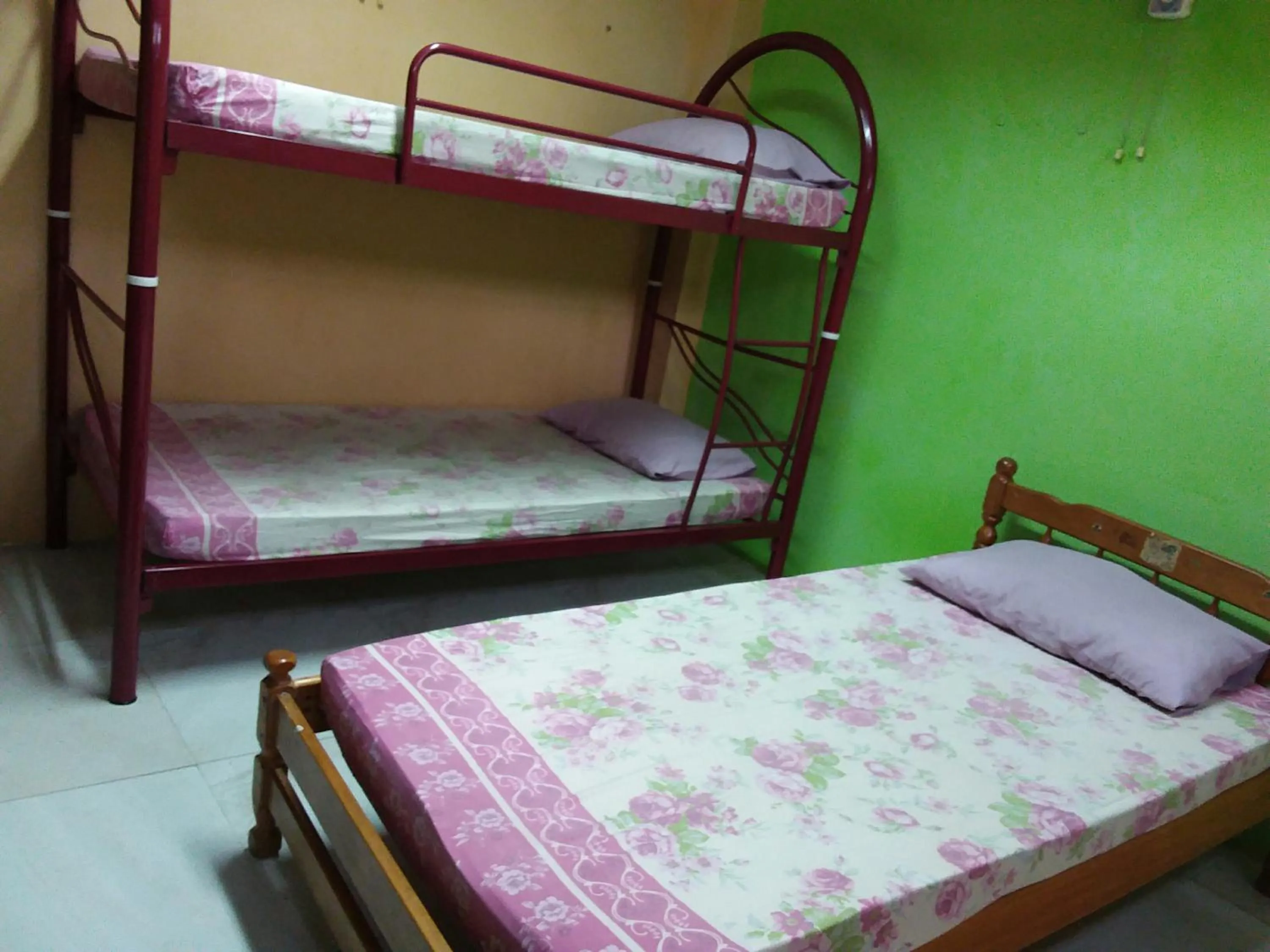 bunk bed, Bed in Oasis Guest House