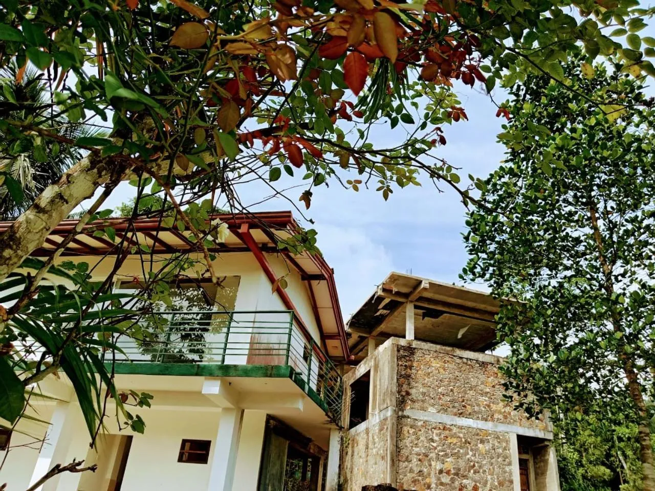 Rainforest Lodge, Deniyaya singheraja