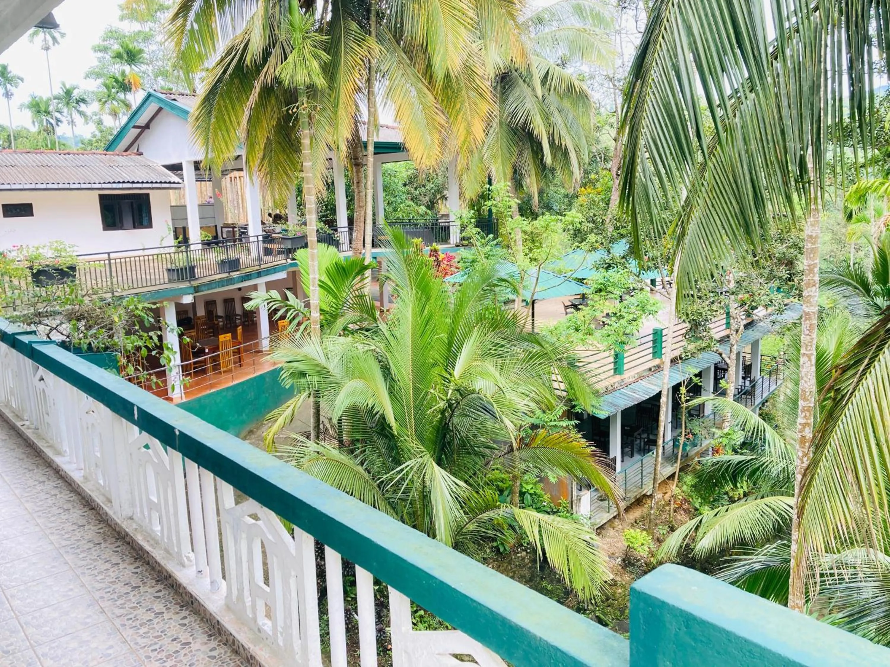 Day in Rainforest Lodge, Deniyaya singheraja