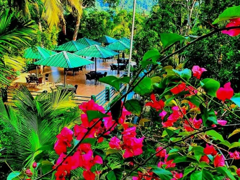 Rainforest Lodge, Deniyaya singheraja