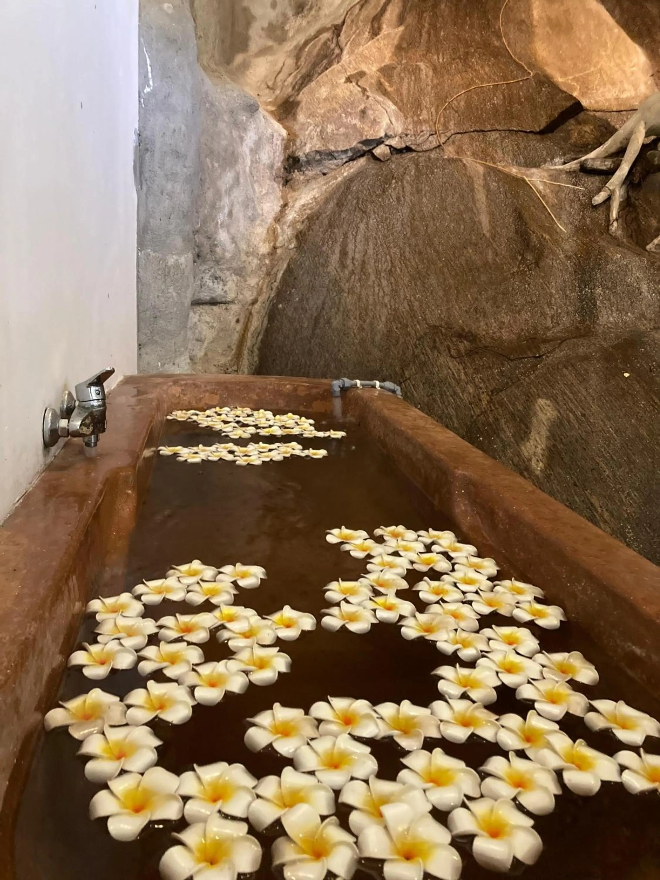 Rainforest Lodge, Deniyaya singheraja