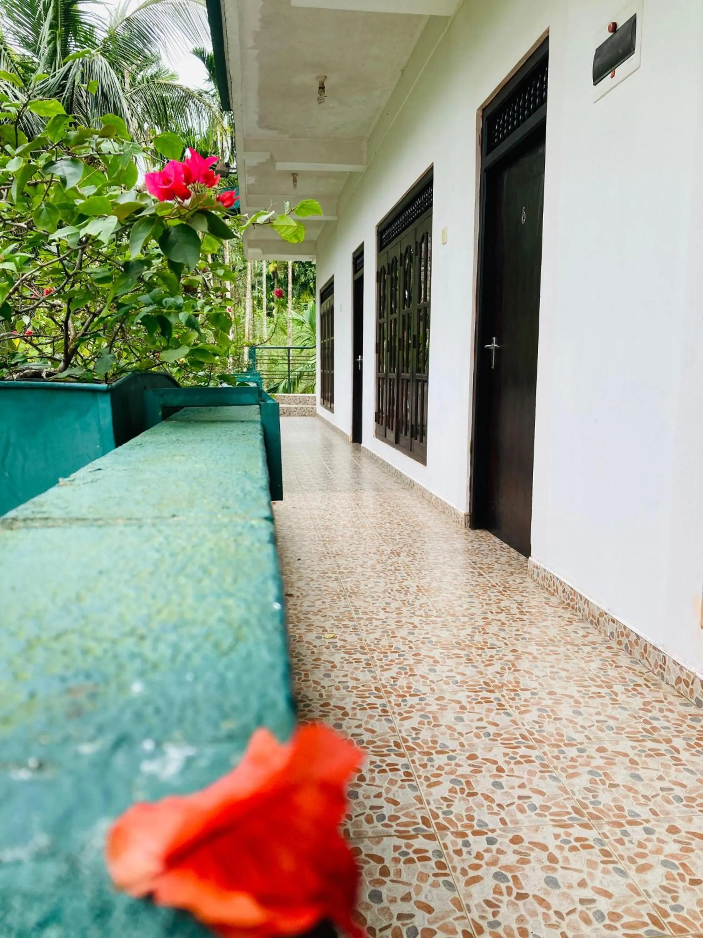 Rainforest Lodge, Deniyaya singheraja