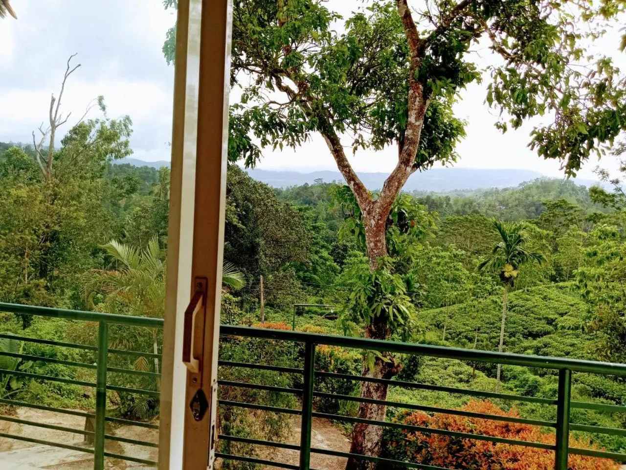 Rainforest Lodge, Deniyaya singheraja