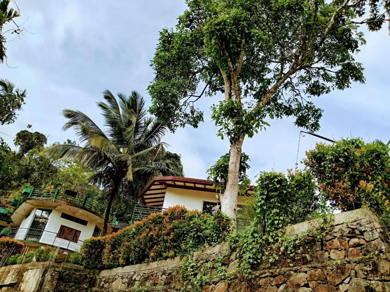 Rainforest Lodge, Deniyaya singheraja
