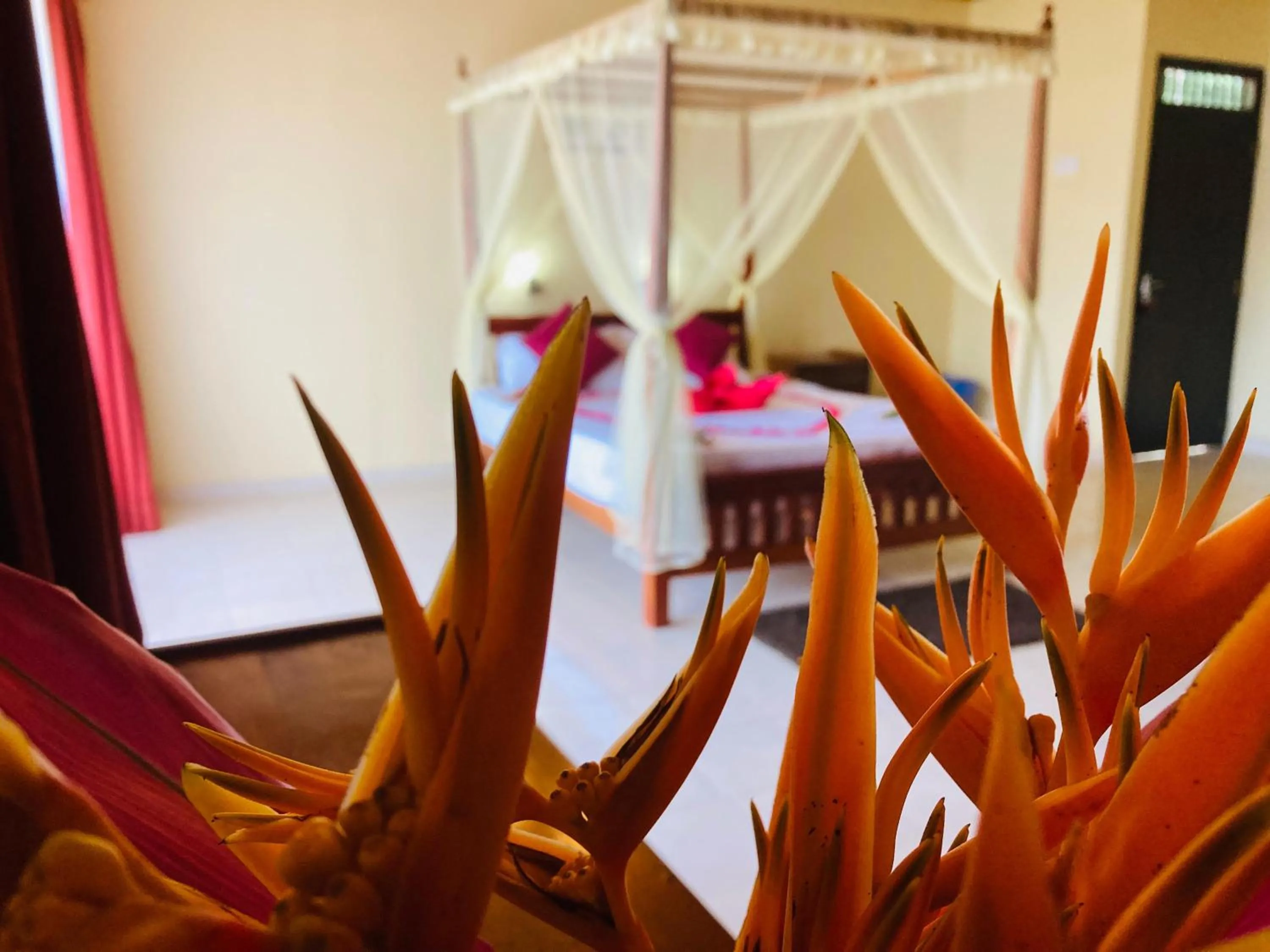 Rainforest Lodge, Deniyaya singheraja