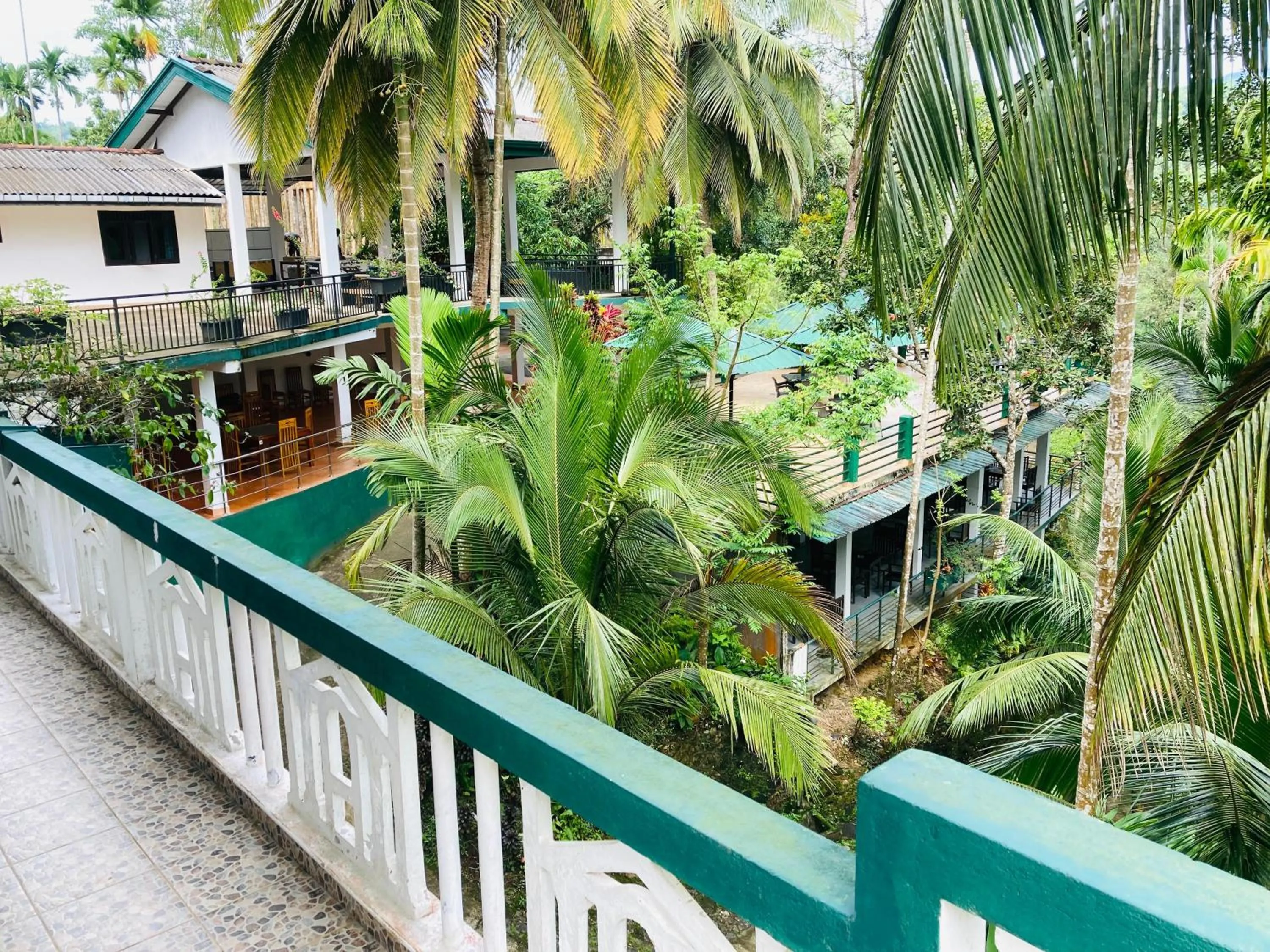 Garden view in Rainforest Lodge, Deniyaya singheraja