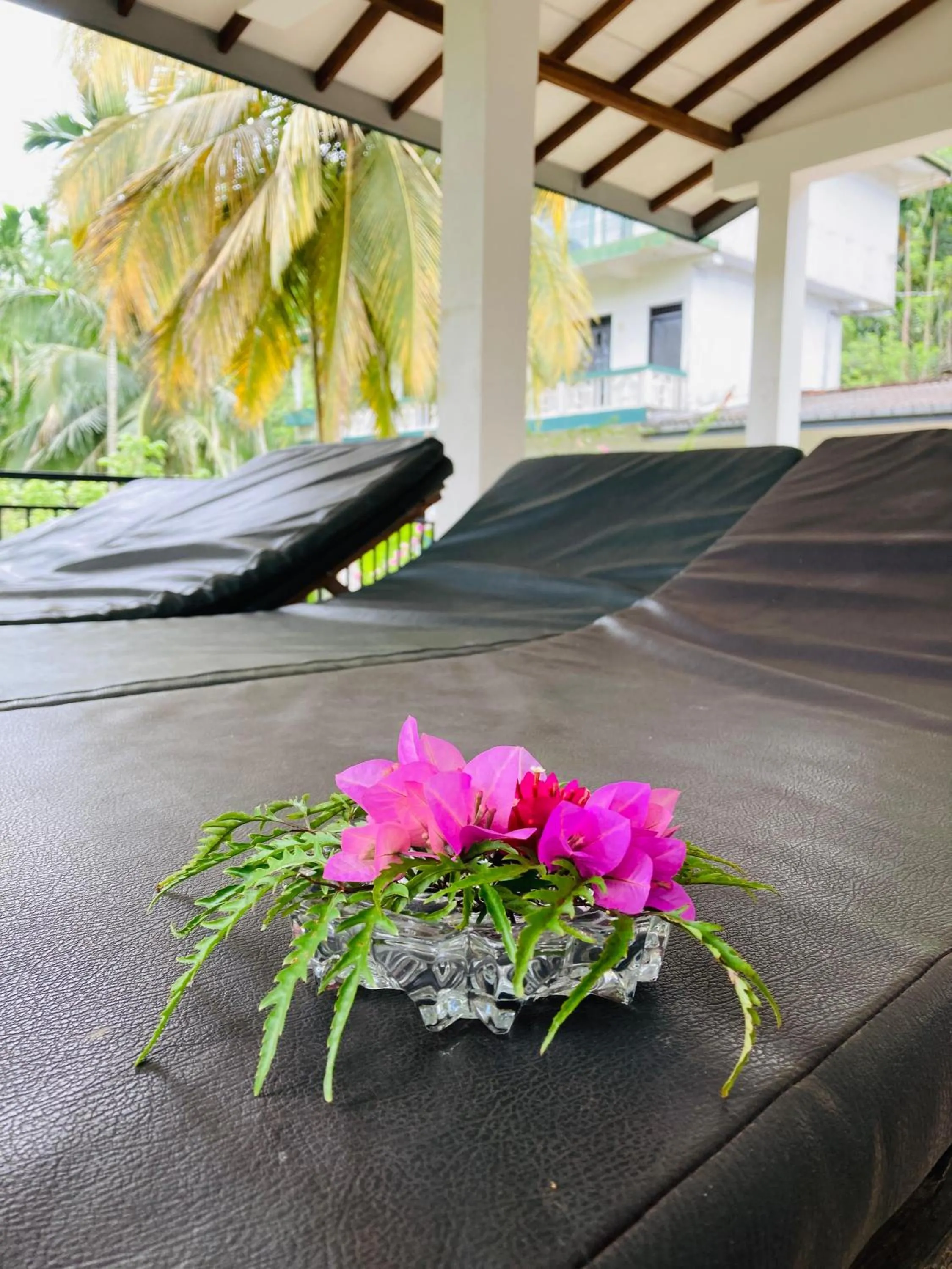 Rainforest Lodge, Deniyaya singheraja