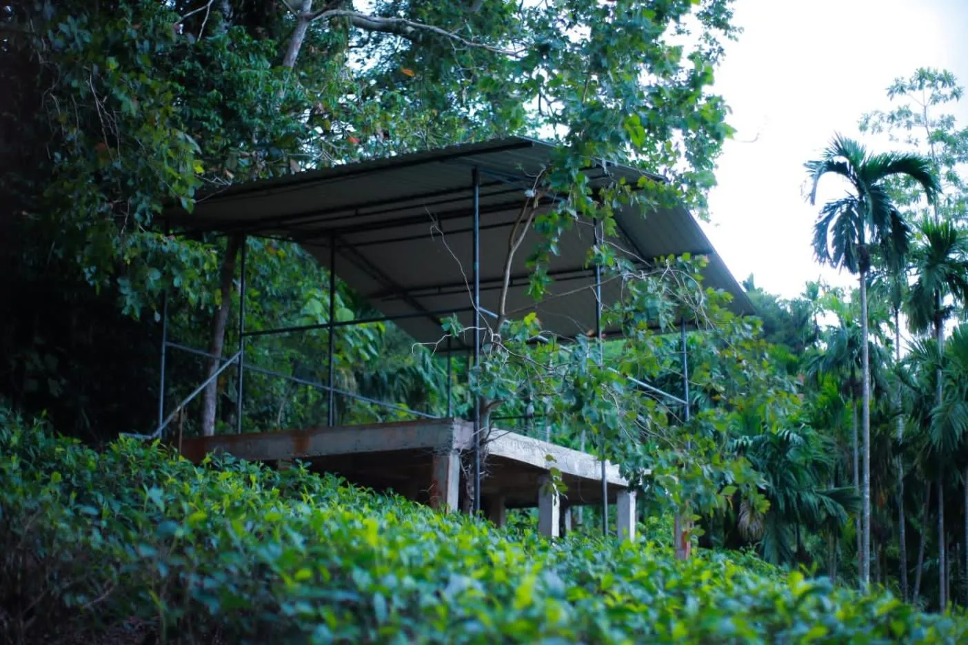 Rainforest Lodge, Deniyaya singheraja