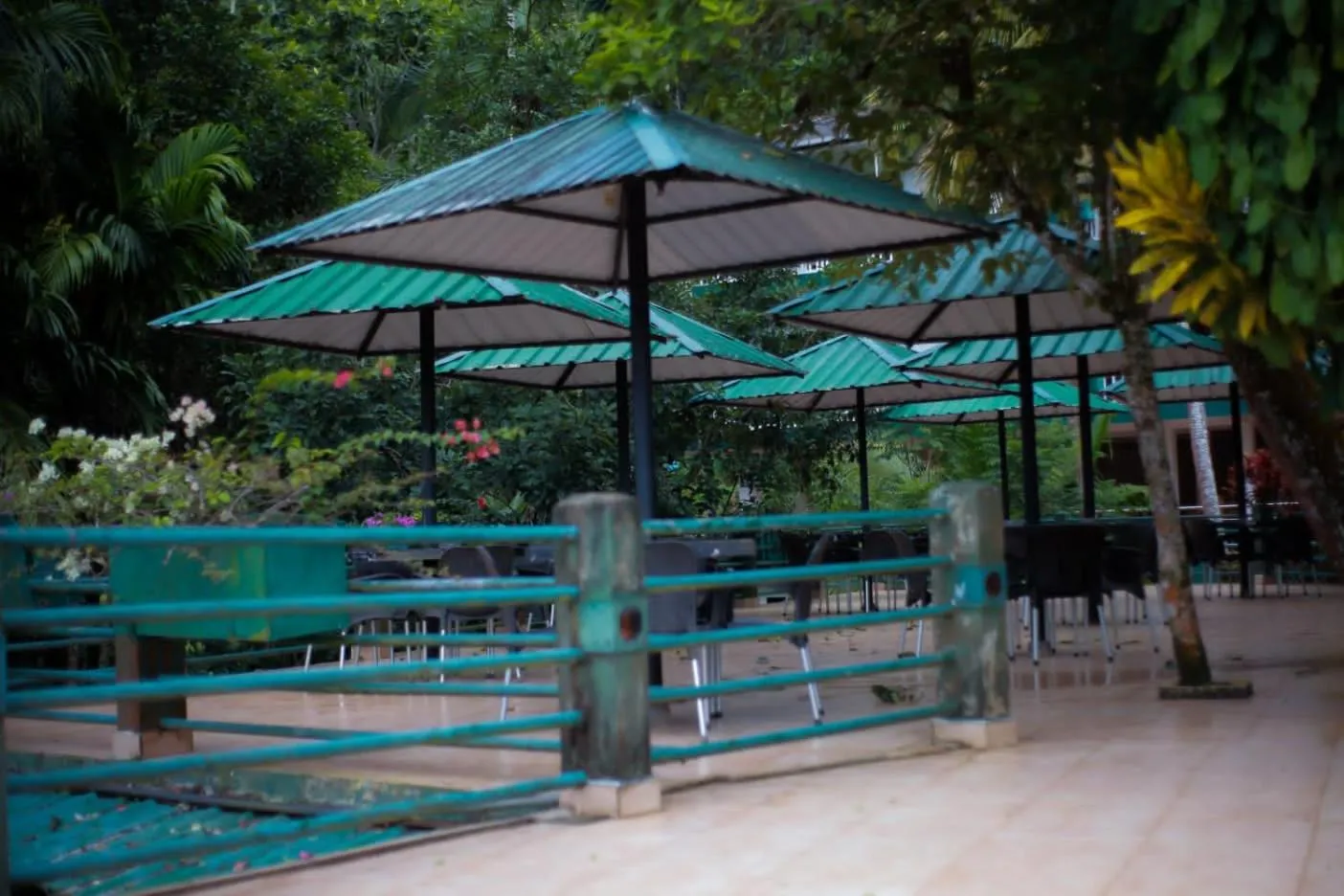 Rainforest Lodge, Deniyaya singheraja