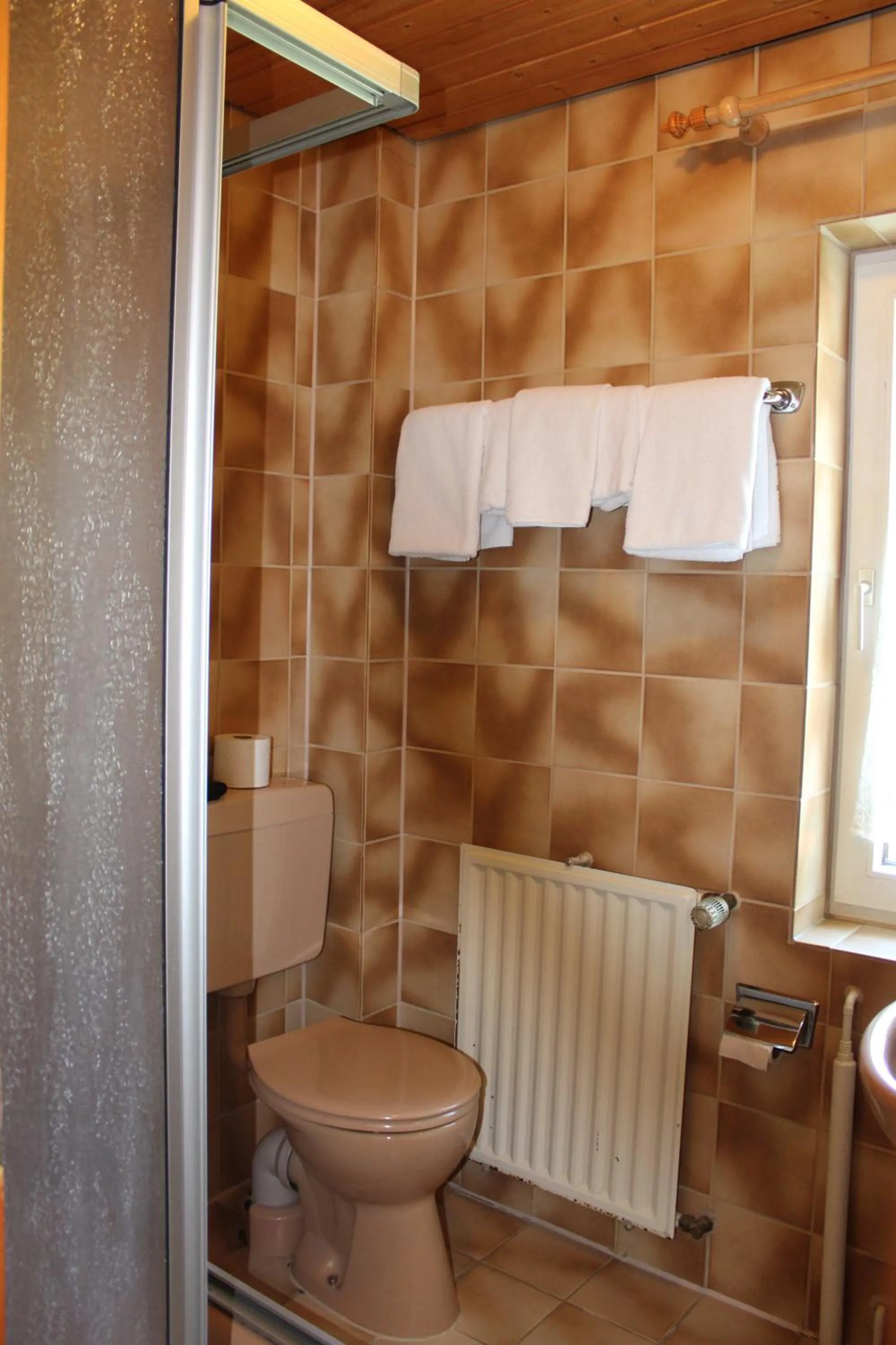 Toilet in Berggasthof Hoherodskopf