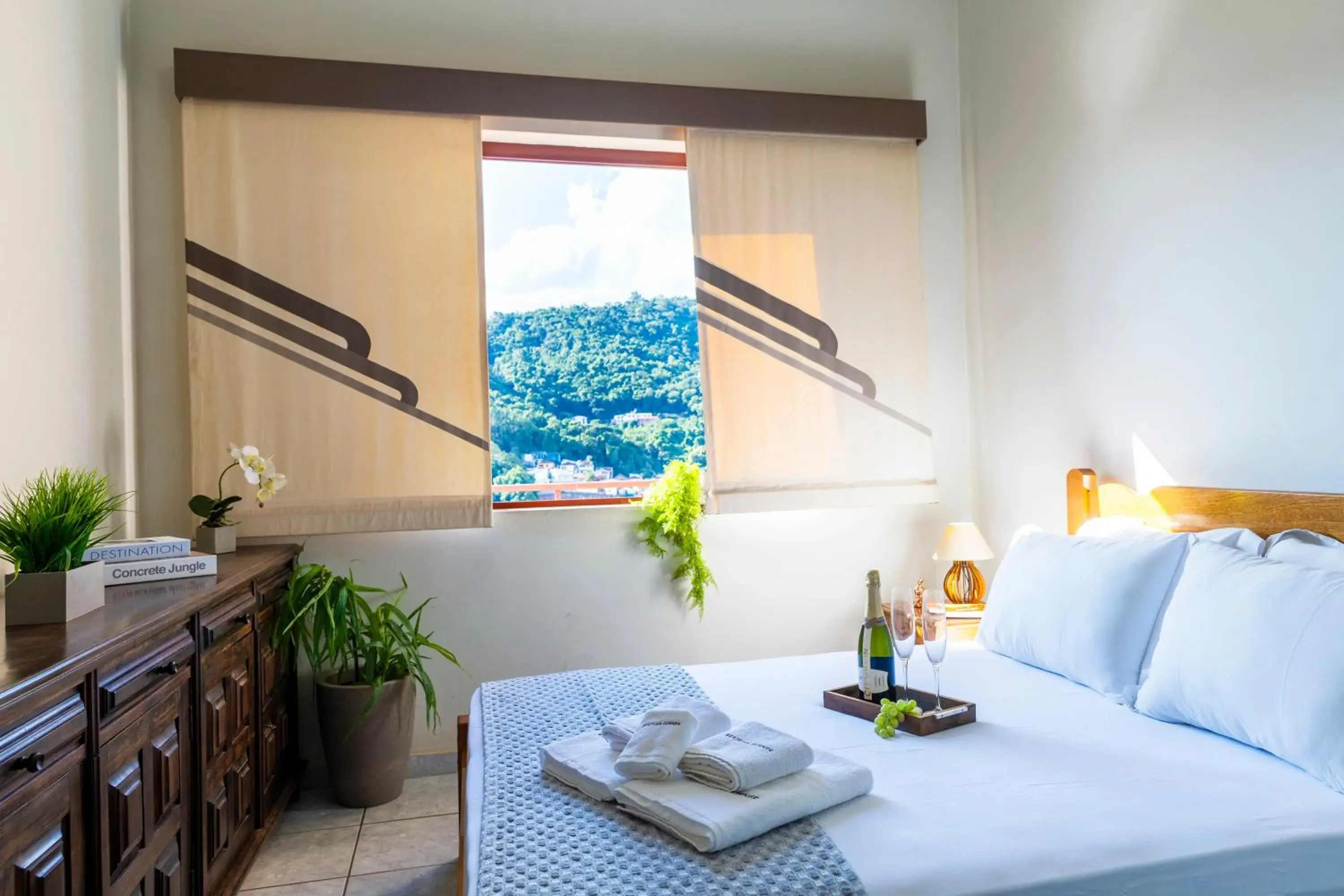 Apartamento aconchegante | Vista incrível | Vaga Apartamento aconchegante | Vista incrível | Vaga