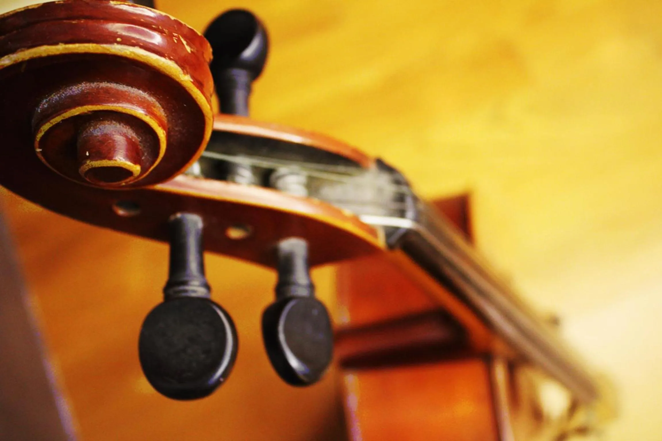 Decorative detail in 3D Sunflower Embossed B&B
