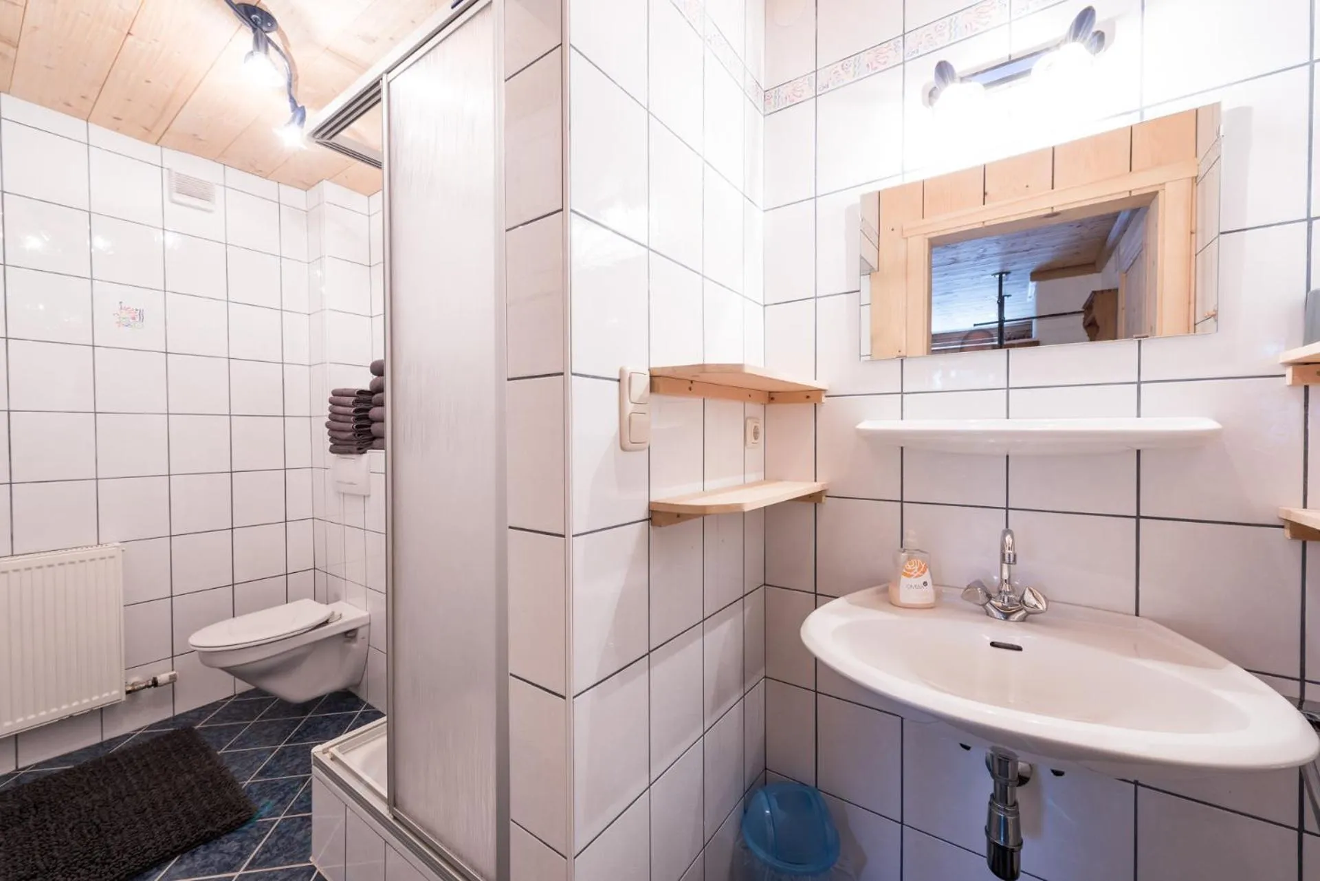 Toilet in Berggasthof Biberg