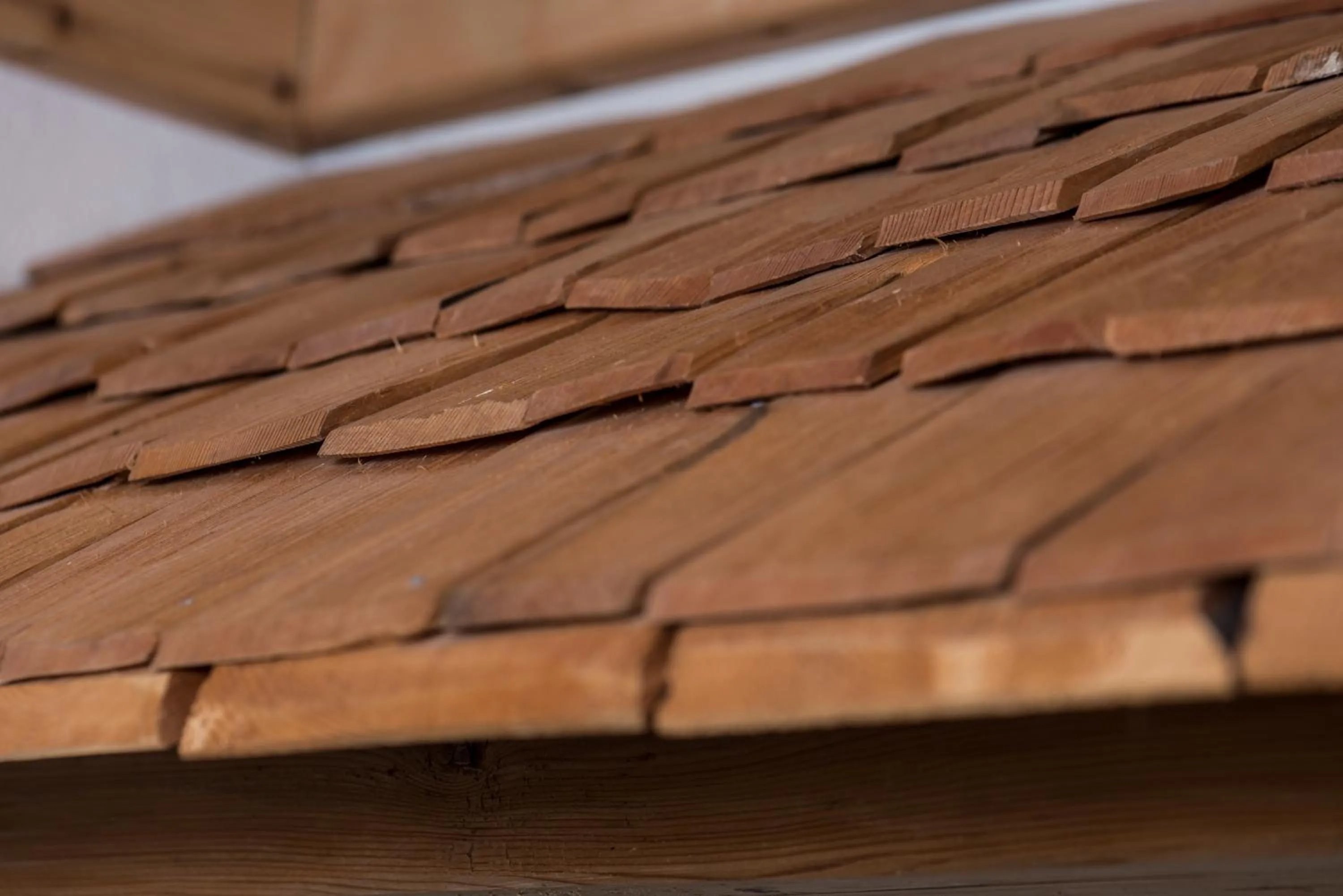 Property building in Berggasthof Biberg