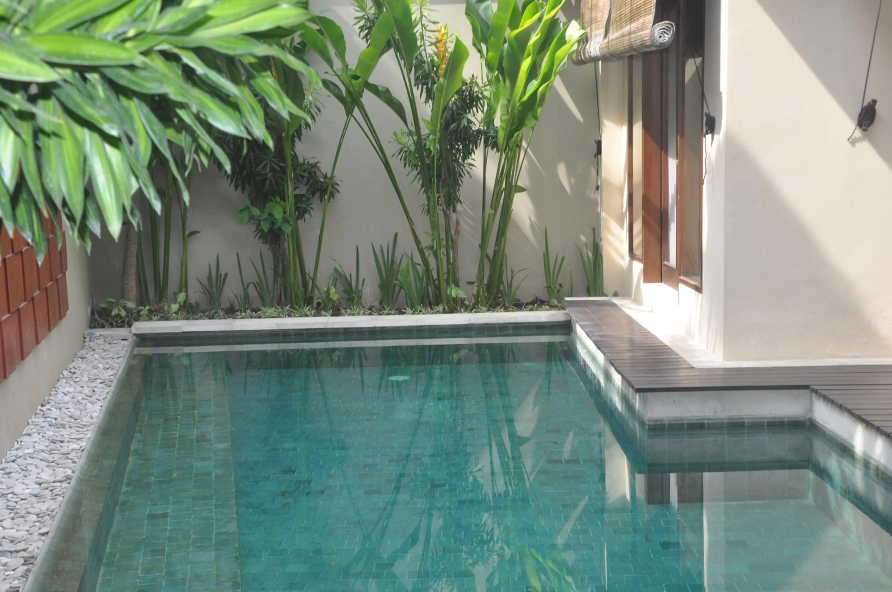 Garden in The Bali Bliss Villa