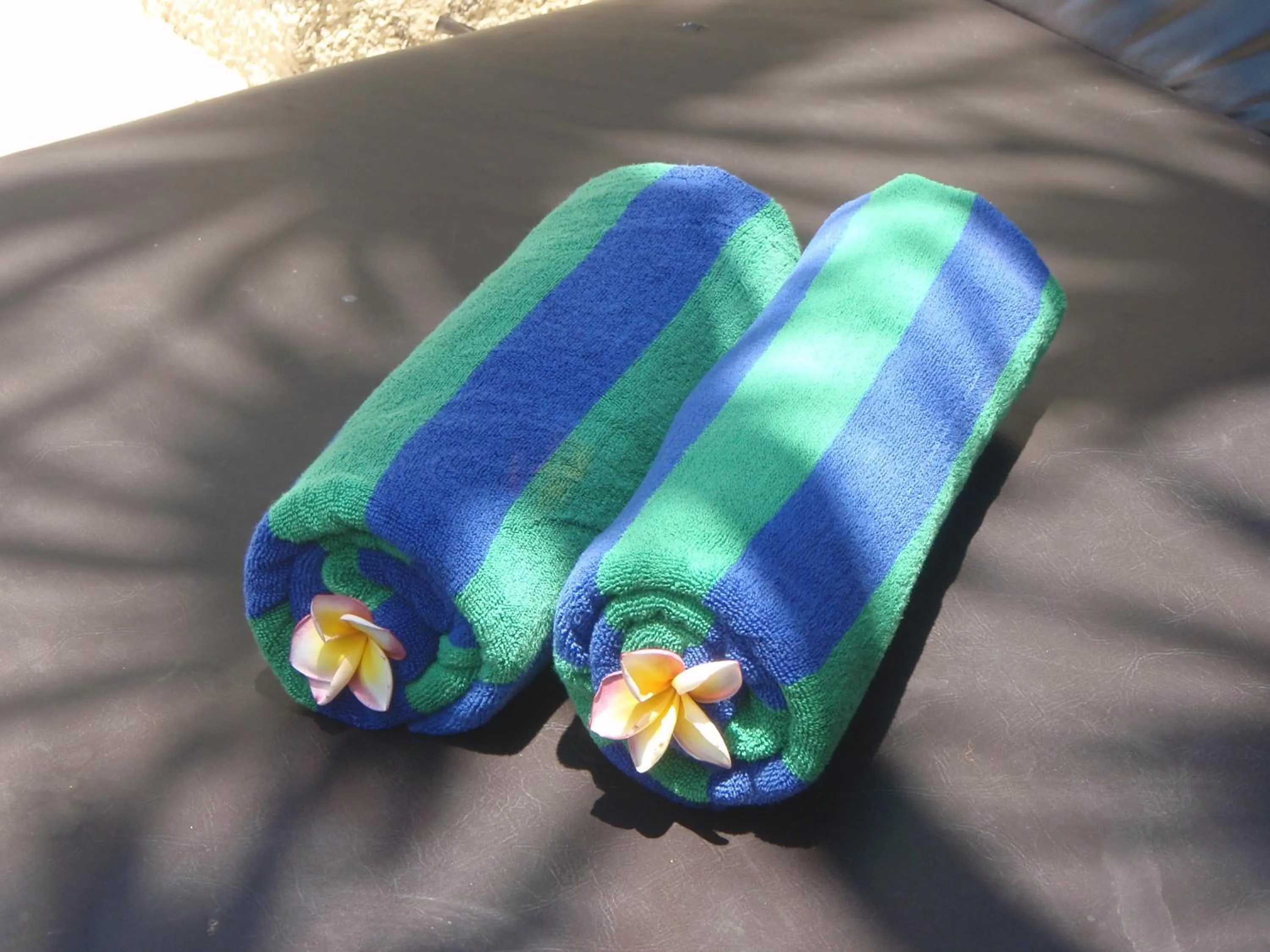 Garden in The Bali Bliss Villa