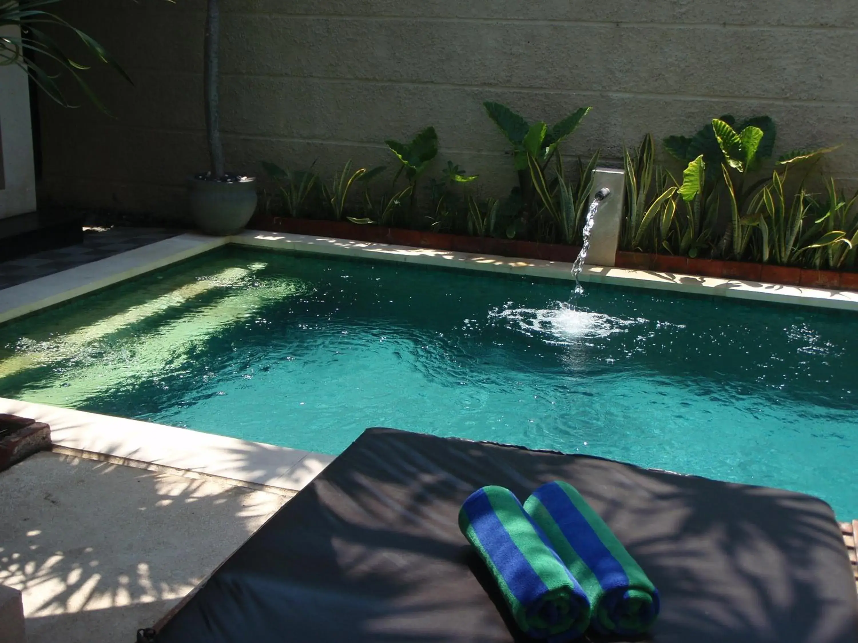 Swimming pool in The Bali Bliss Villa Swimming pool in The Bali Bliss Villa