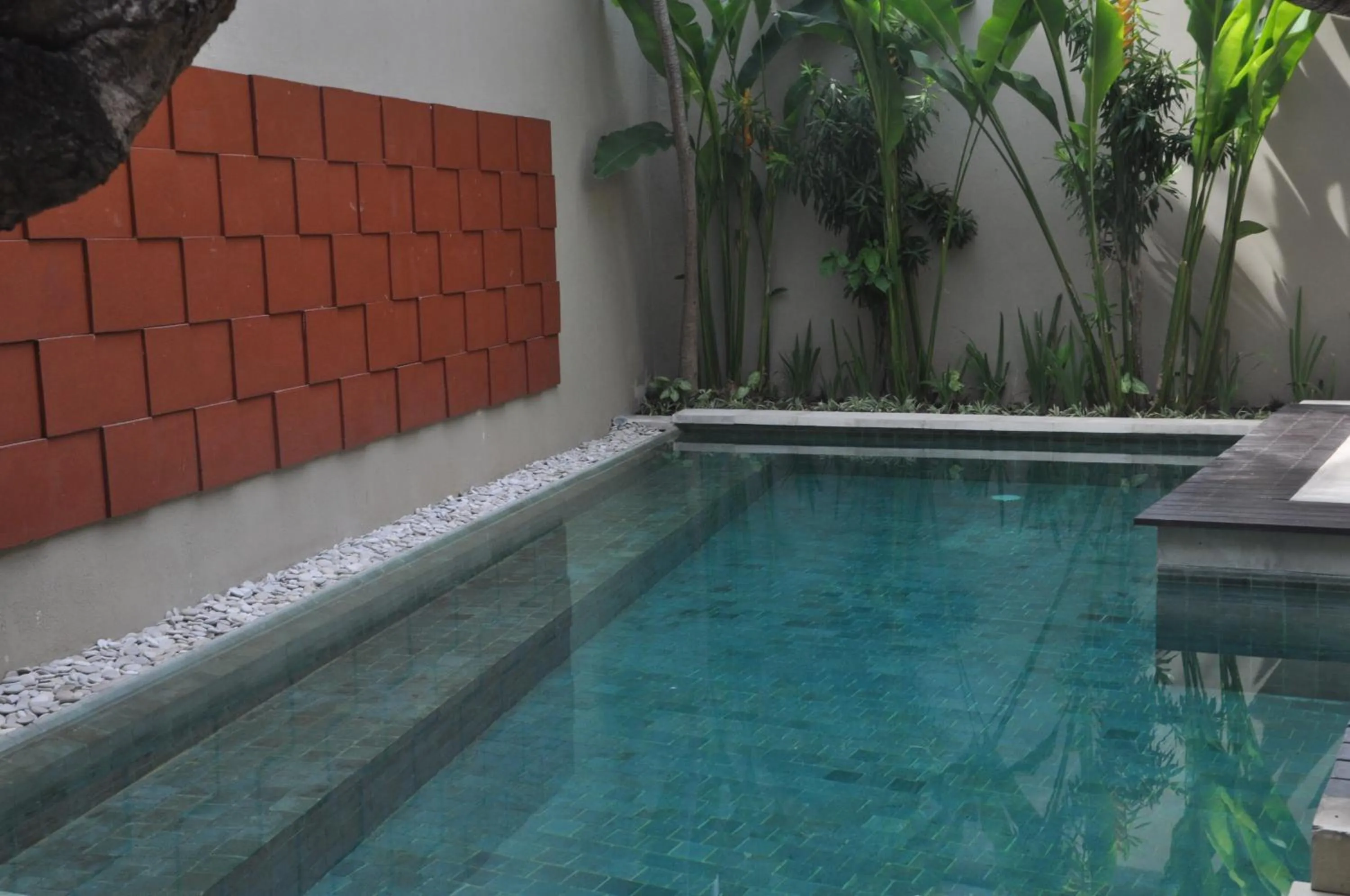 Garden in The Bali Bliss Villa