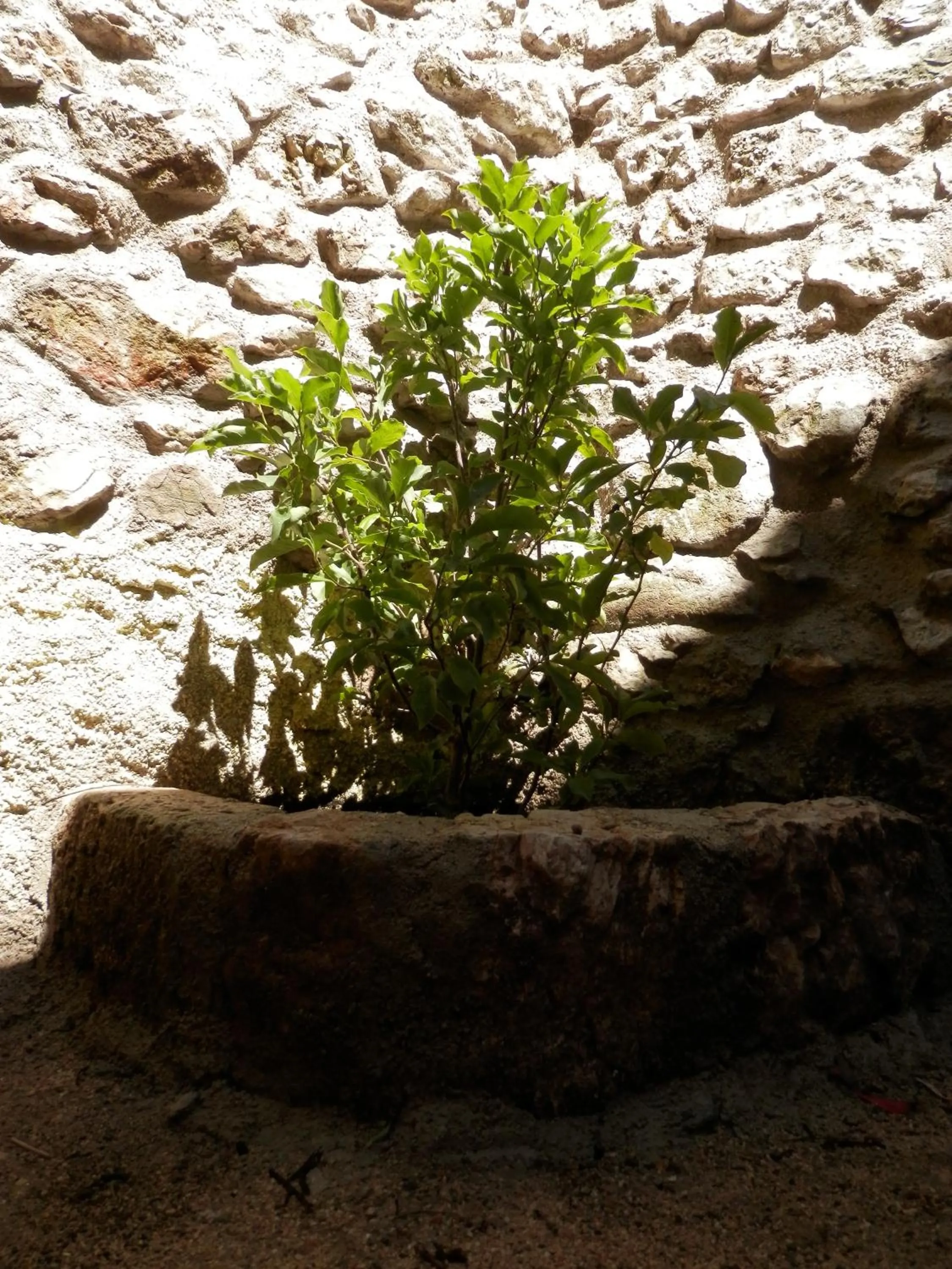 Garden in Calì B&B