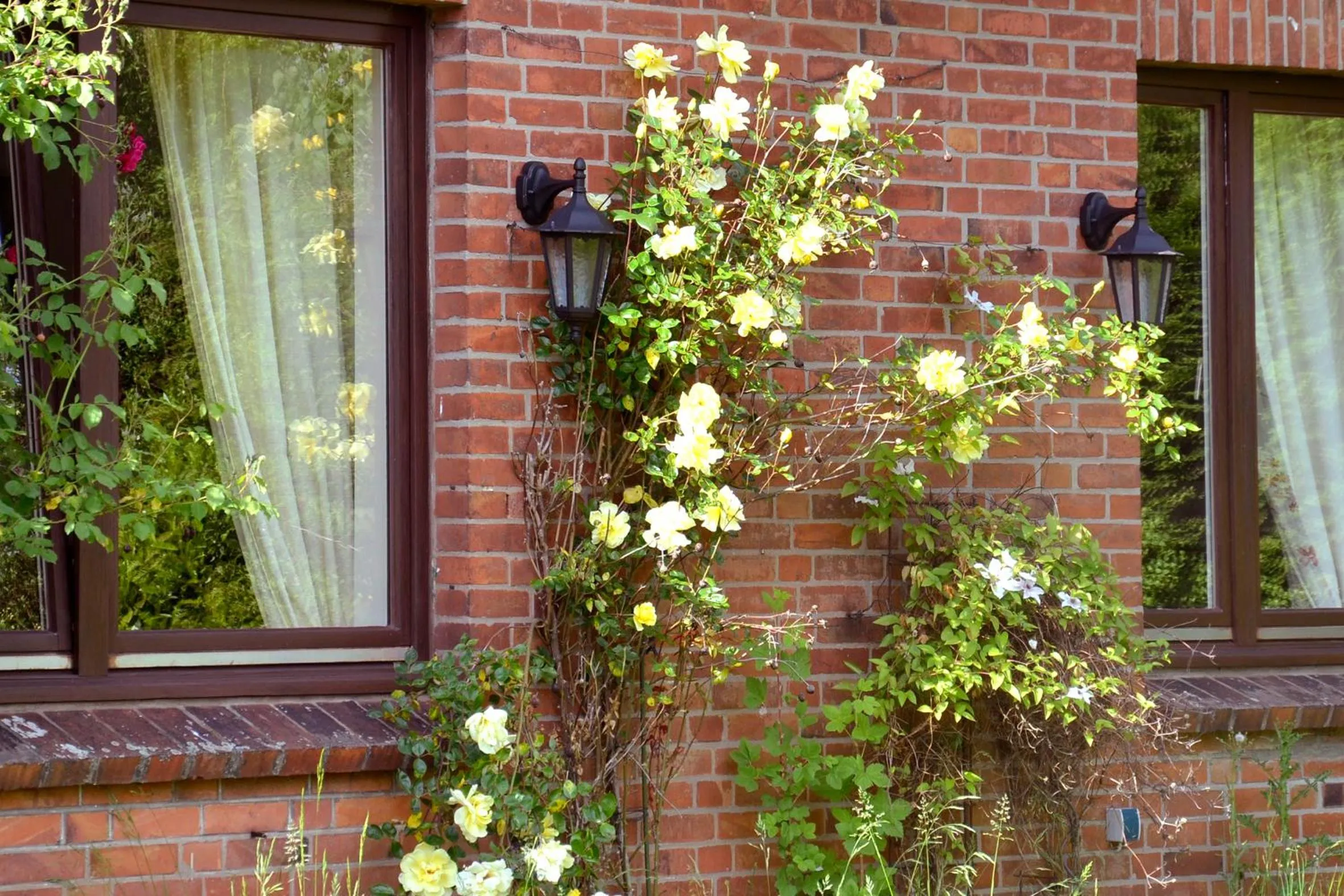 Facade/entrance in Gut Basthorst