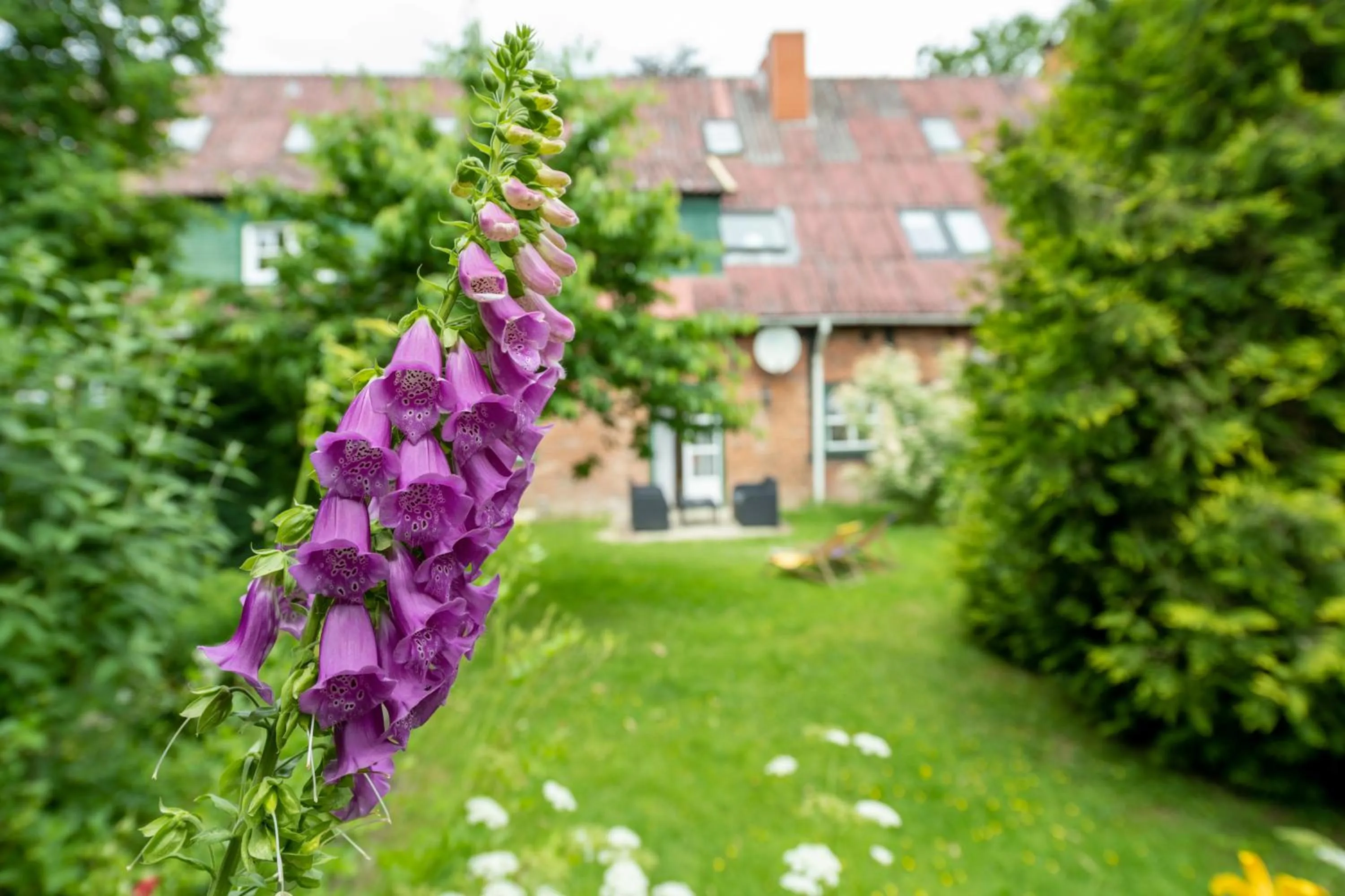 Garden in Gut Basthorst