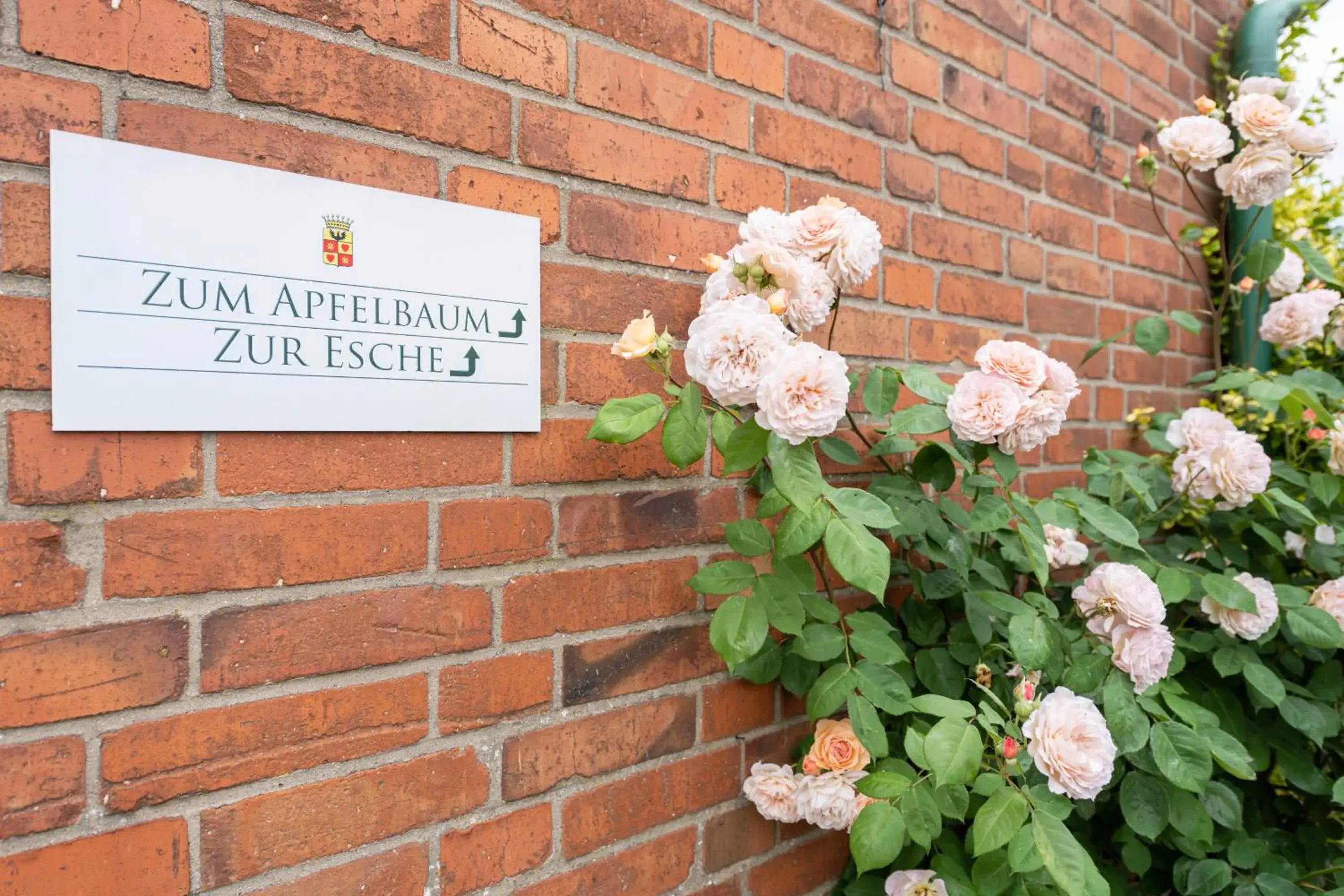 Standard Twin Room - Annex in Gut Basthorst Standard Twin Room - Annex in Gut Basthorst