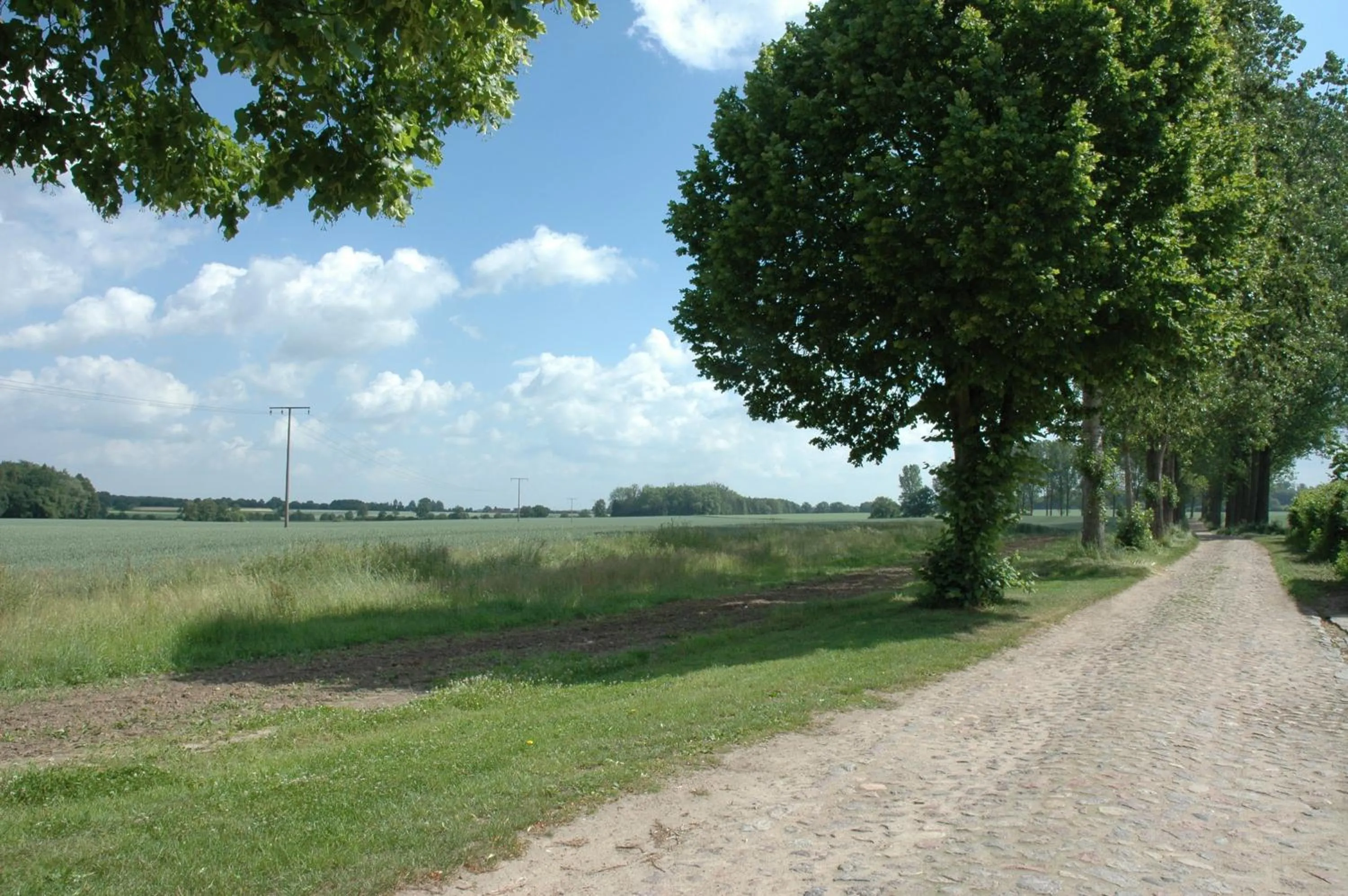 Natural landscape in Gut Basthorst