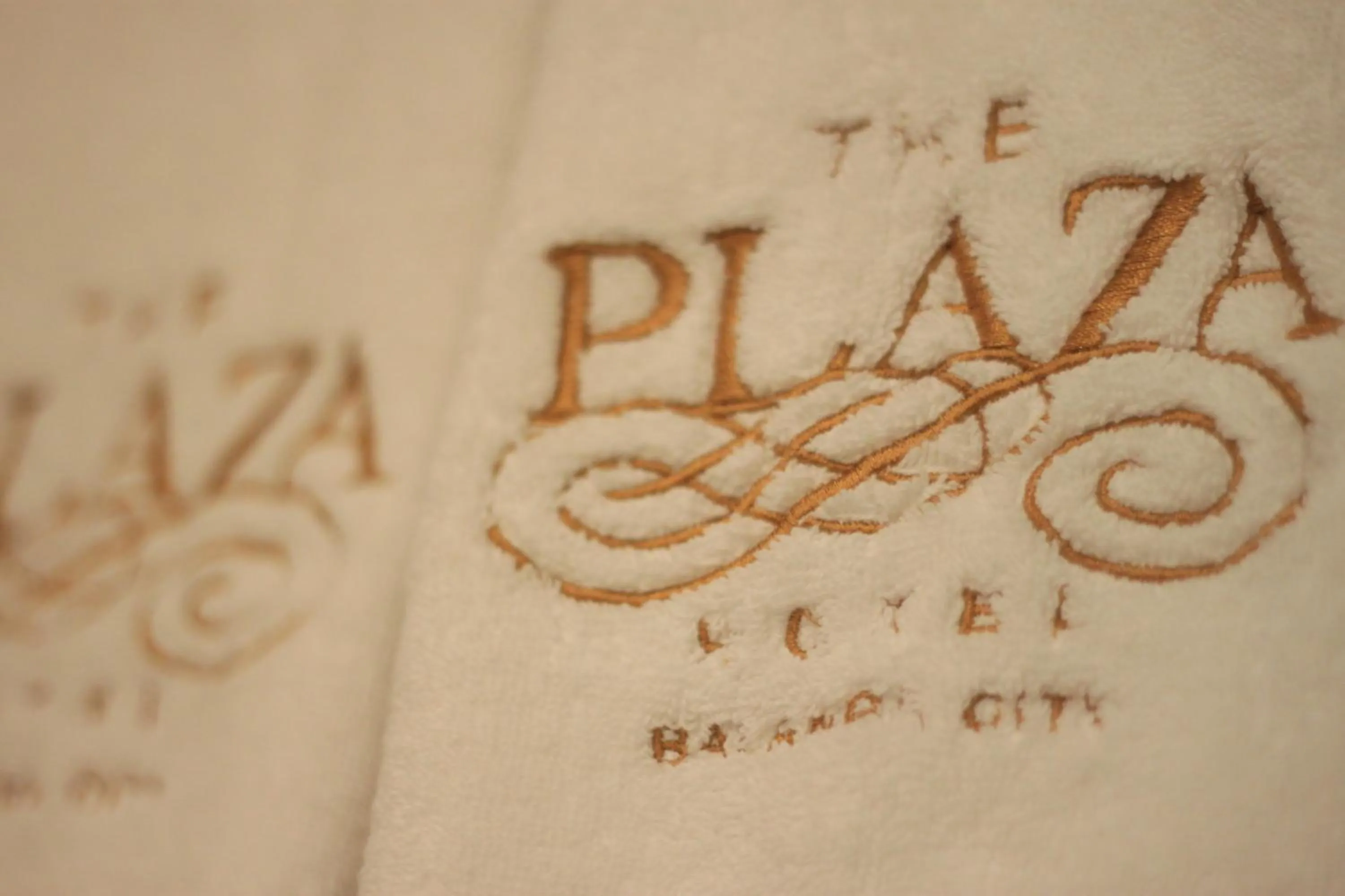 The Plaza Hotel Balanga City