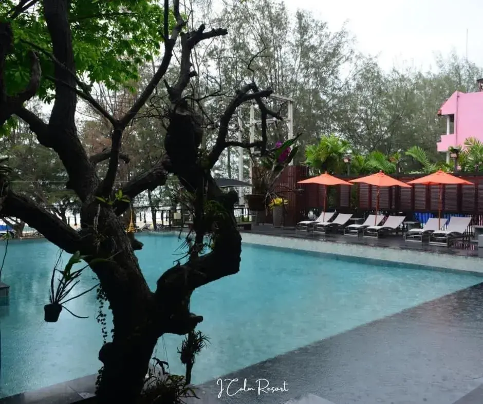 Swimming pool in I Calm Resort Cha Am Swimming pool in I Calm Resort Cha Am