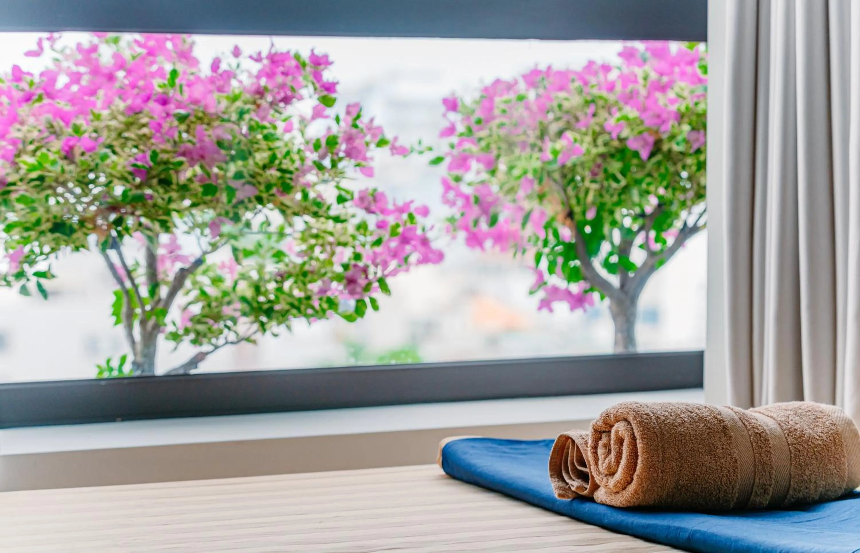 Garden view in MONTANA HOMESTAY VUNG TAU