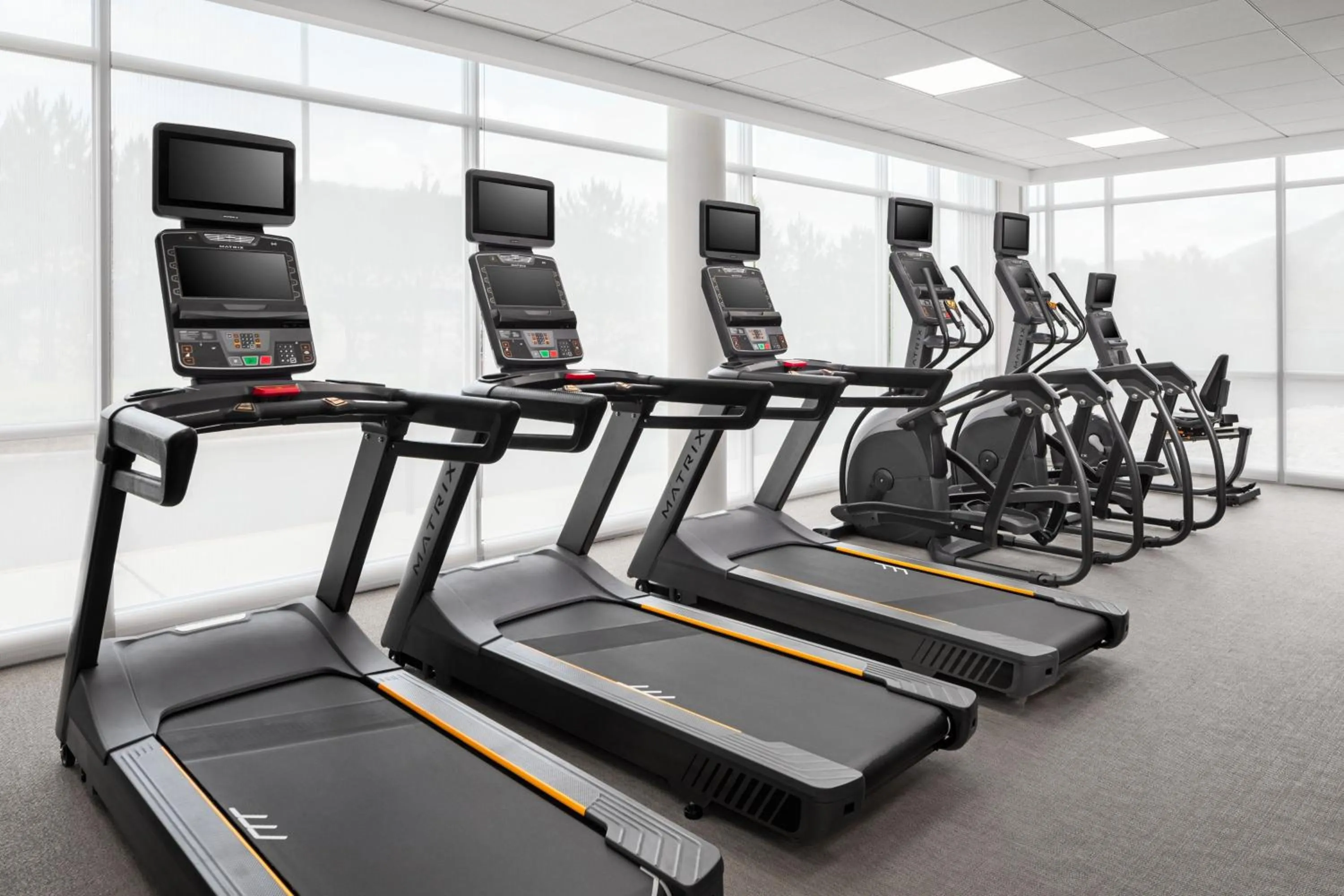 Fitness centre/facilities in SpringHill Suites by Marriott Roanoke North