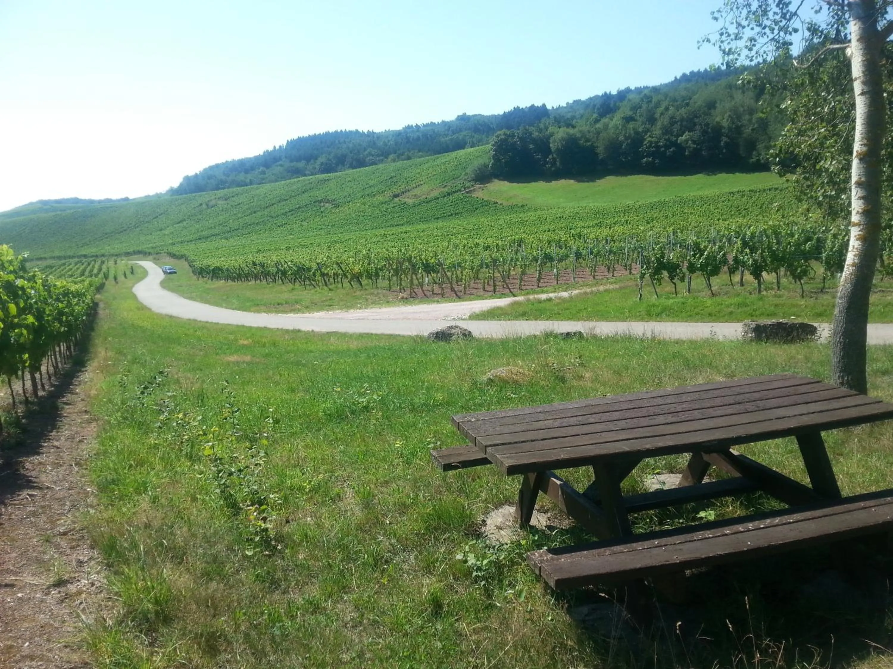 Natural landscape in Chez Yolande