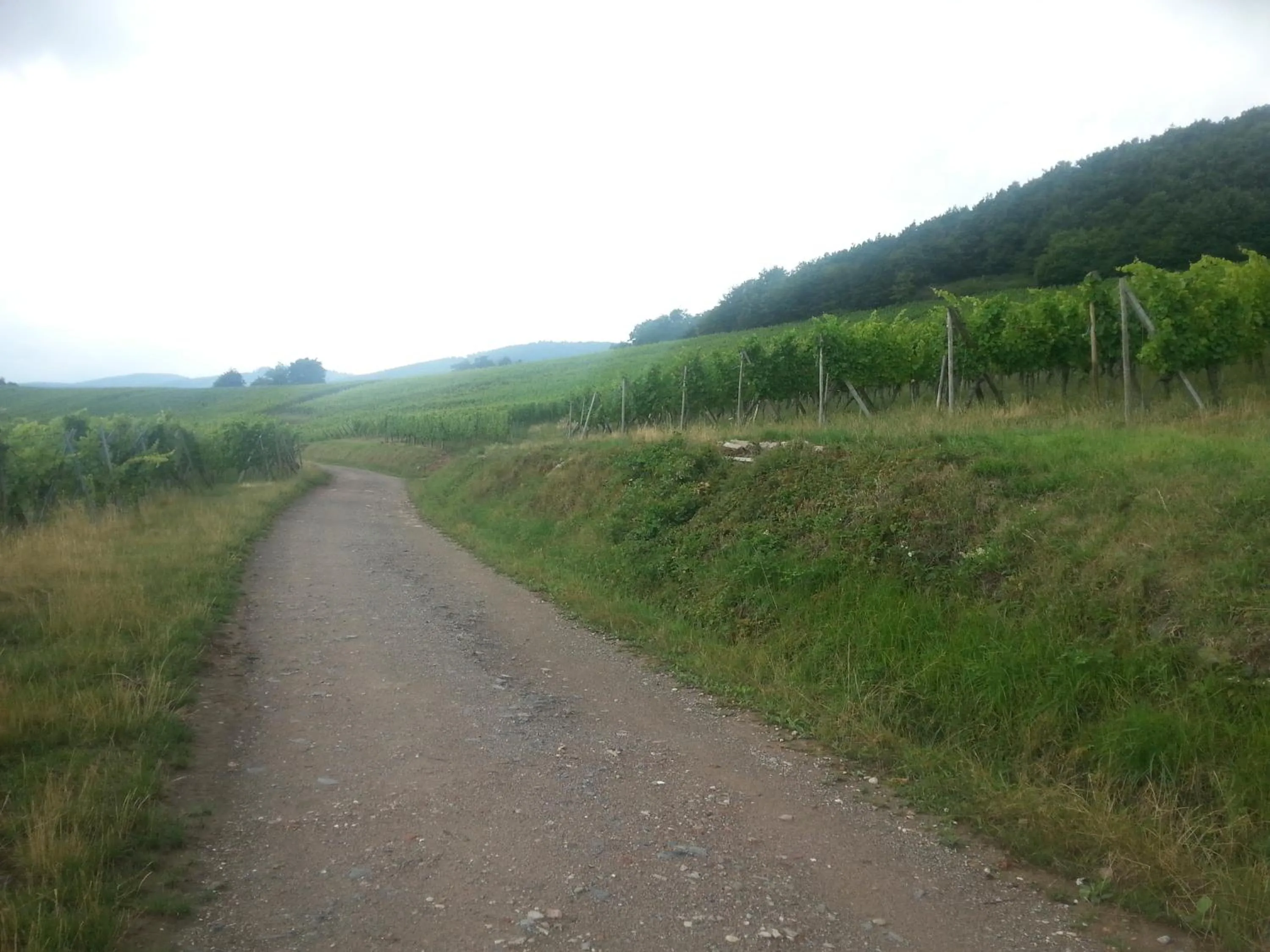 Area and facilities in Chez Yolande