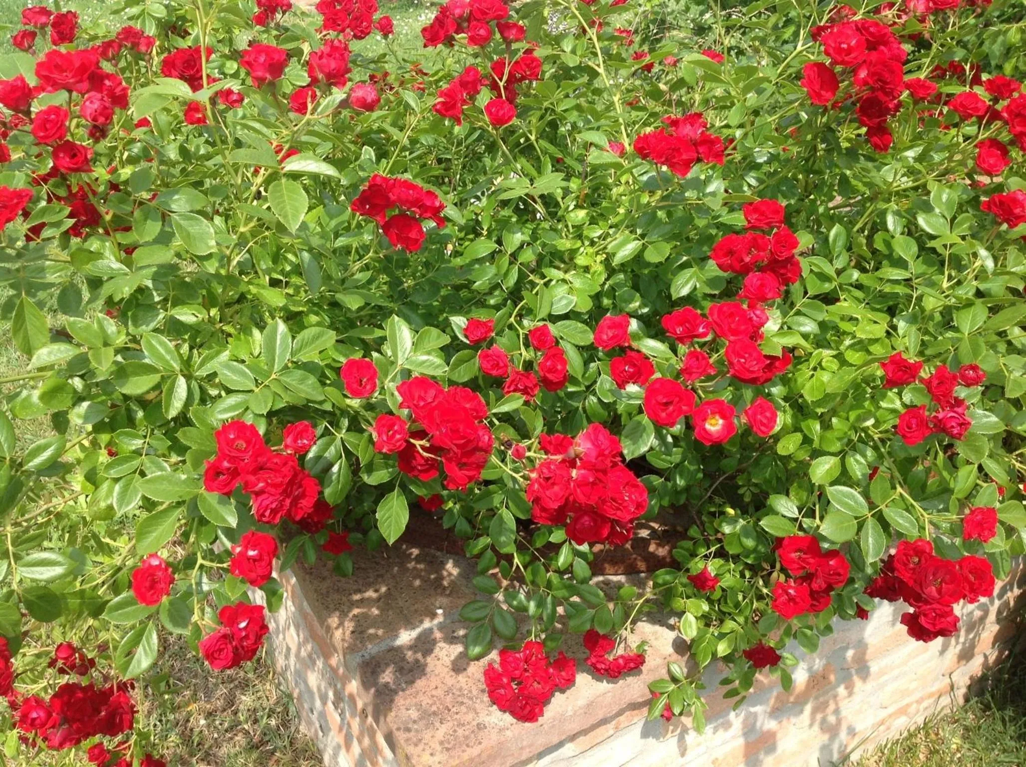 Spring in Il Frattiero B&B