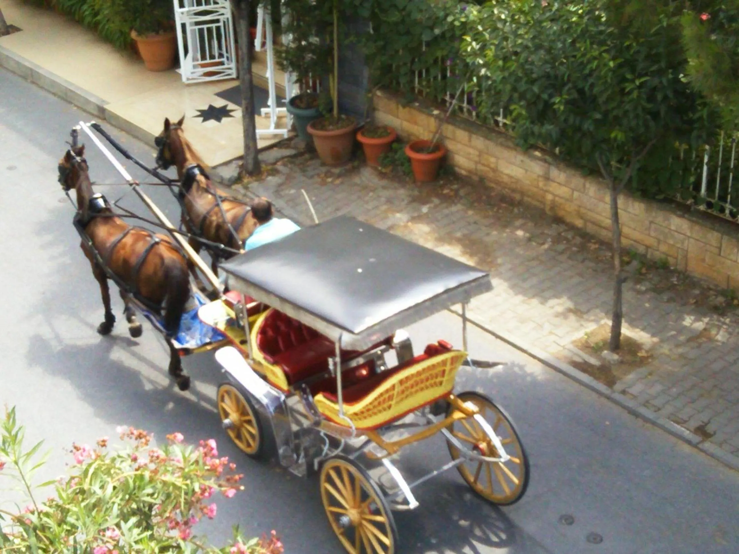 Area and facilities in Buyukada Cankaya Hotel