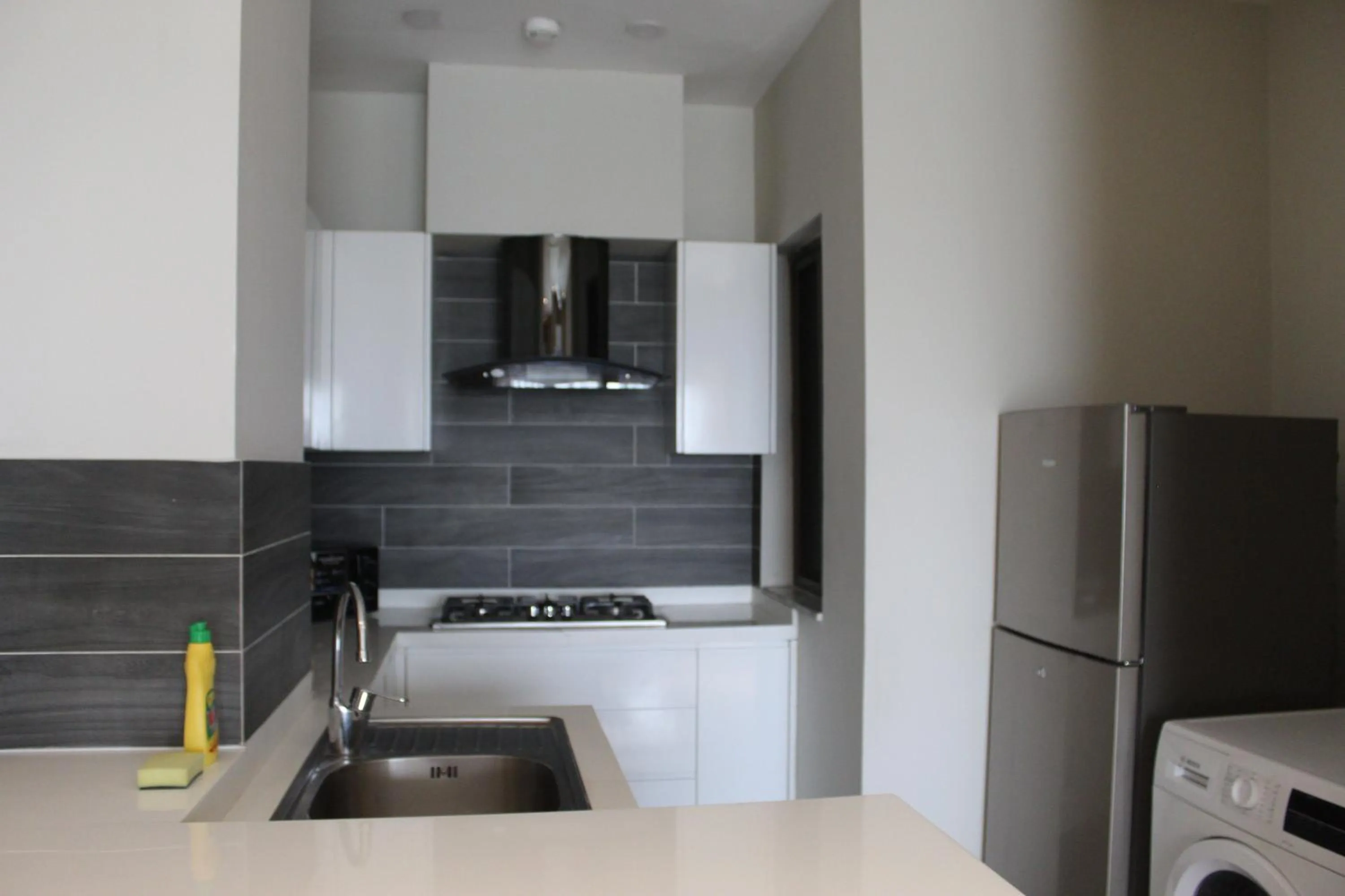 The Opus Luxury Residences