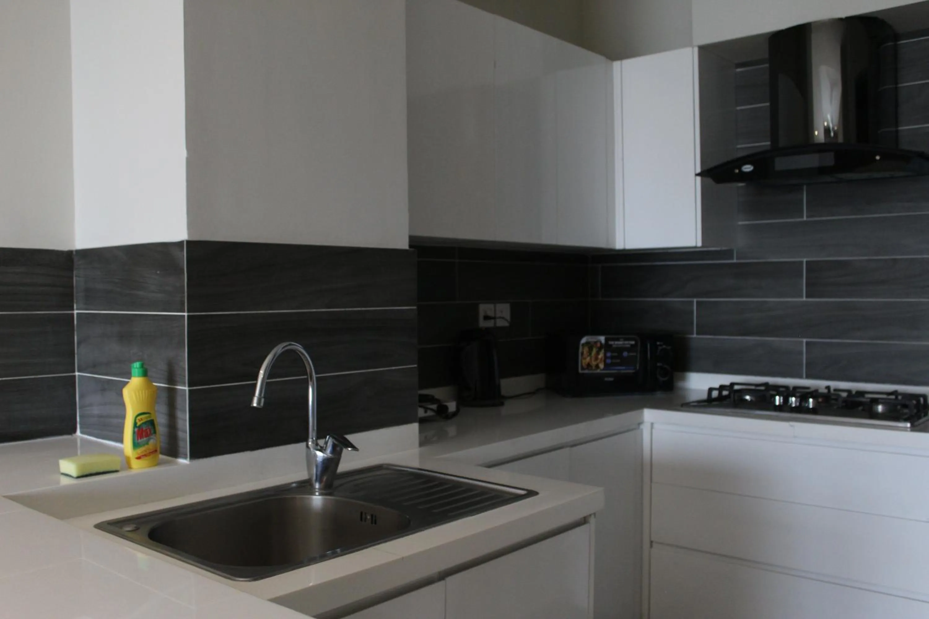 The Opus Luxury Residences