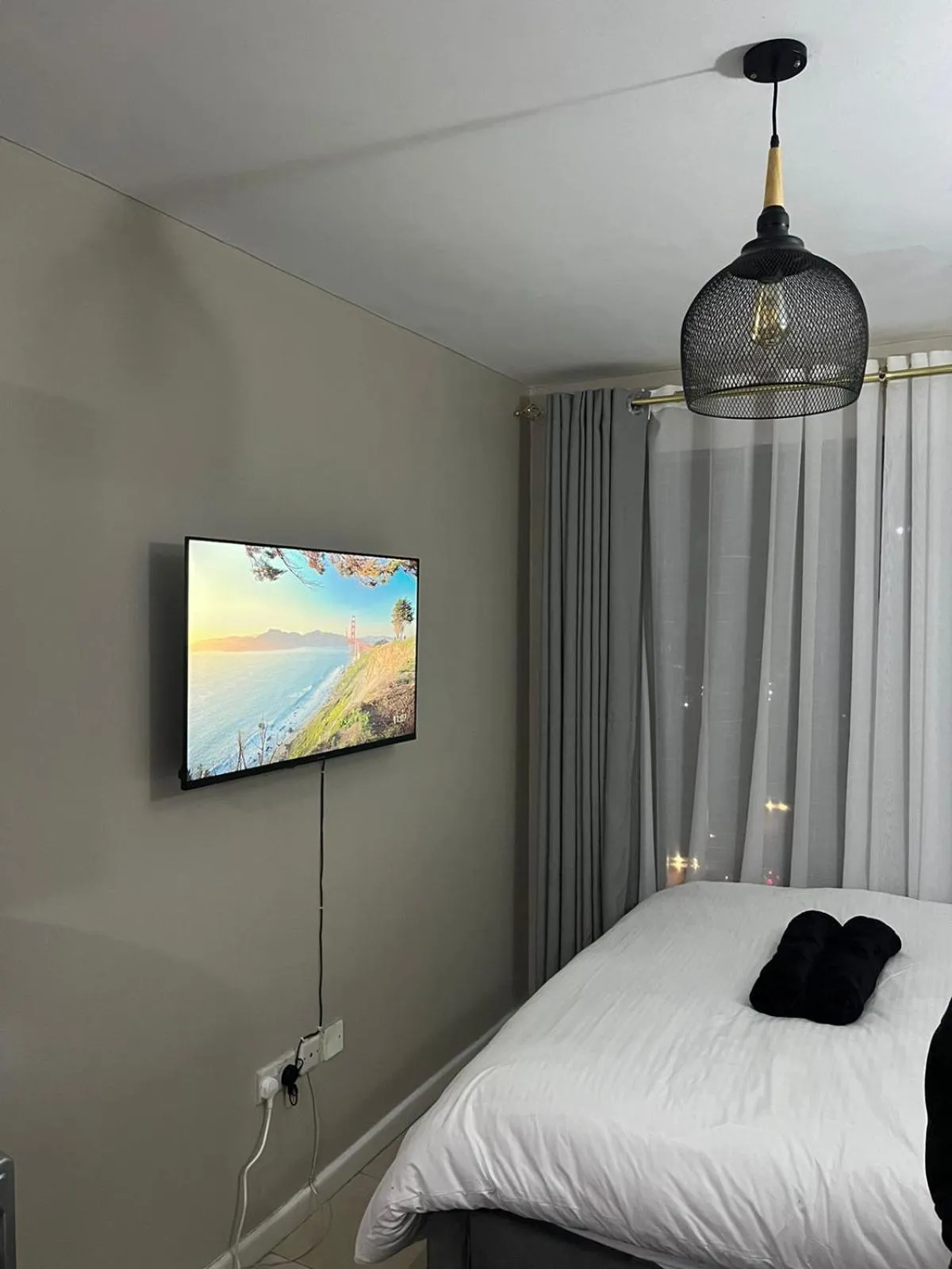 Coral bells by Tsavo