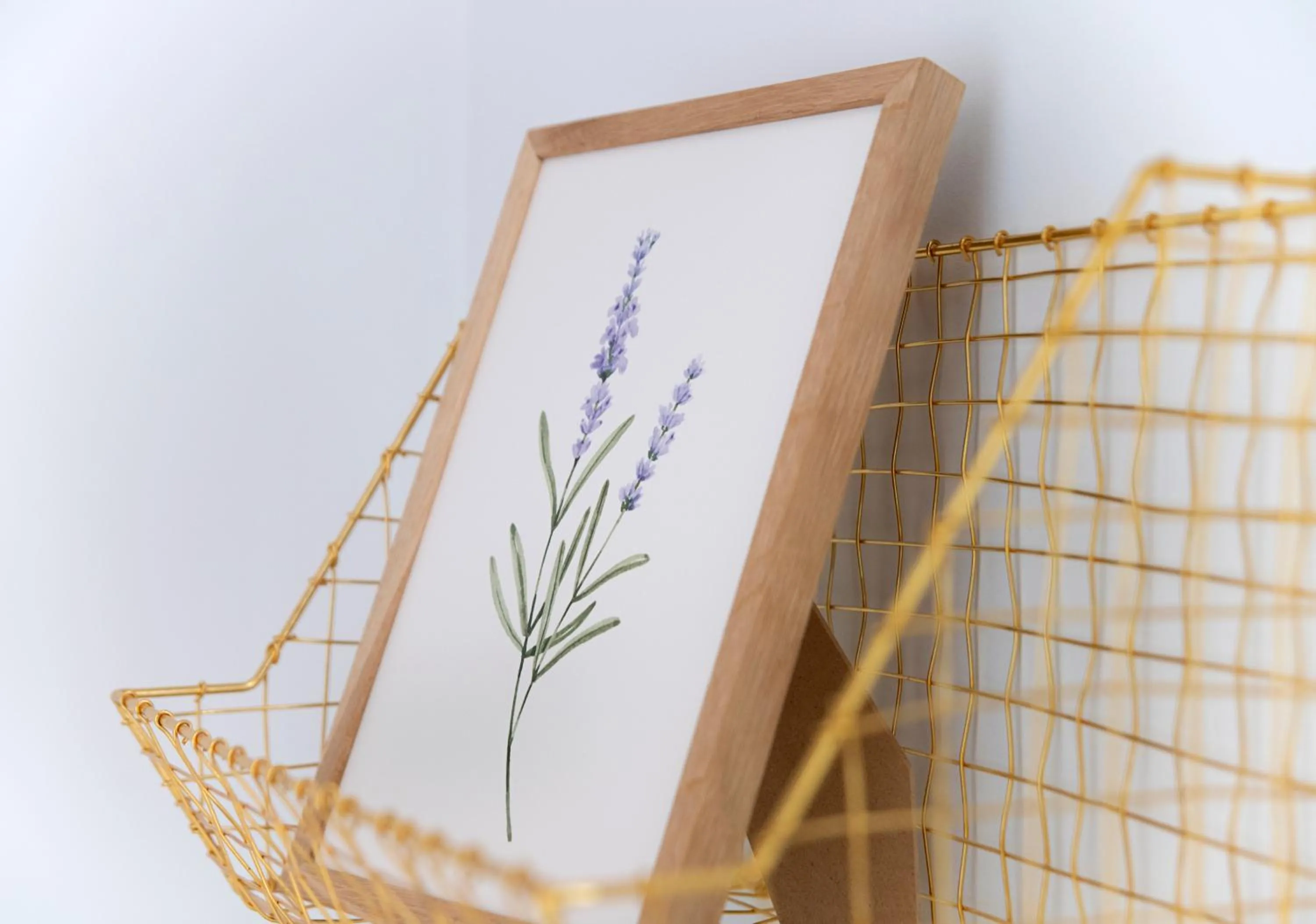 El Bálsamo - Hotel Rural 5 Estrellas