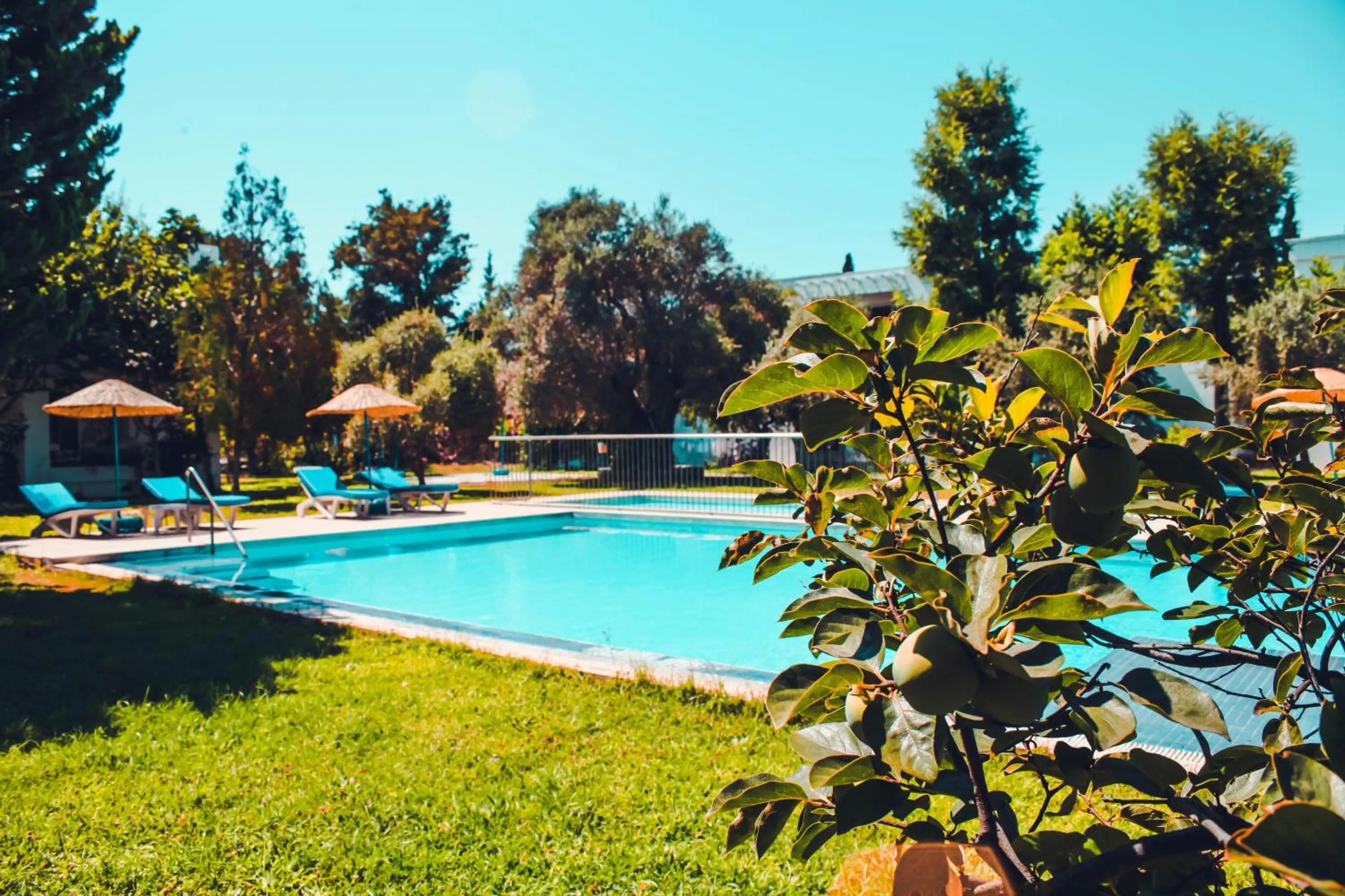 Pool view in Muskebi Apart Otel