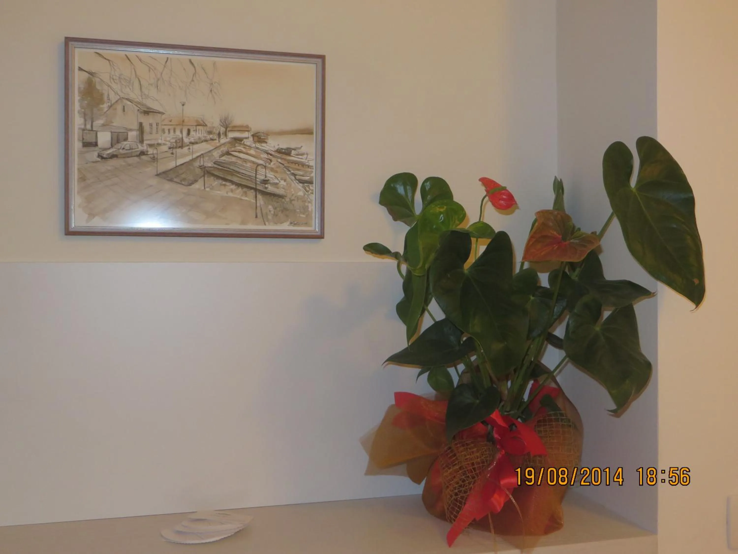 Property building in Villa Marija M L