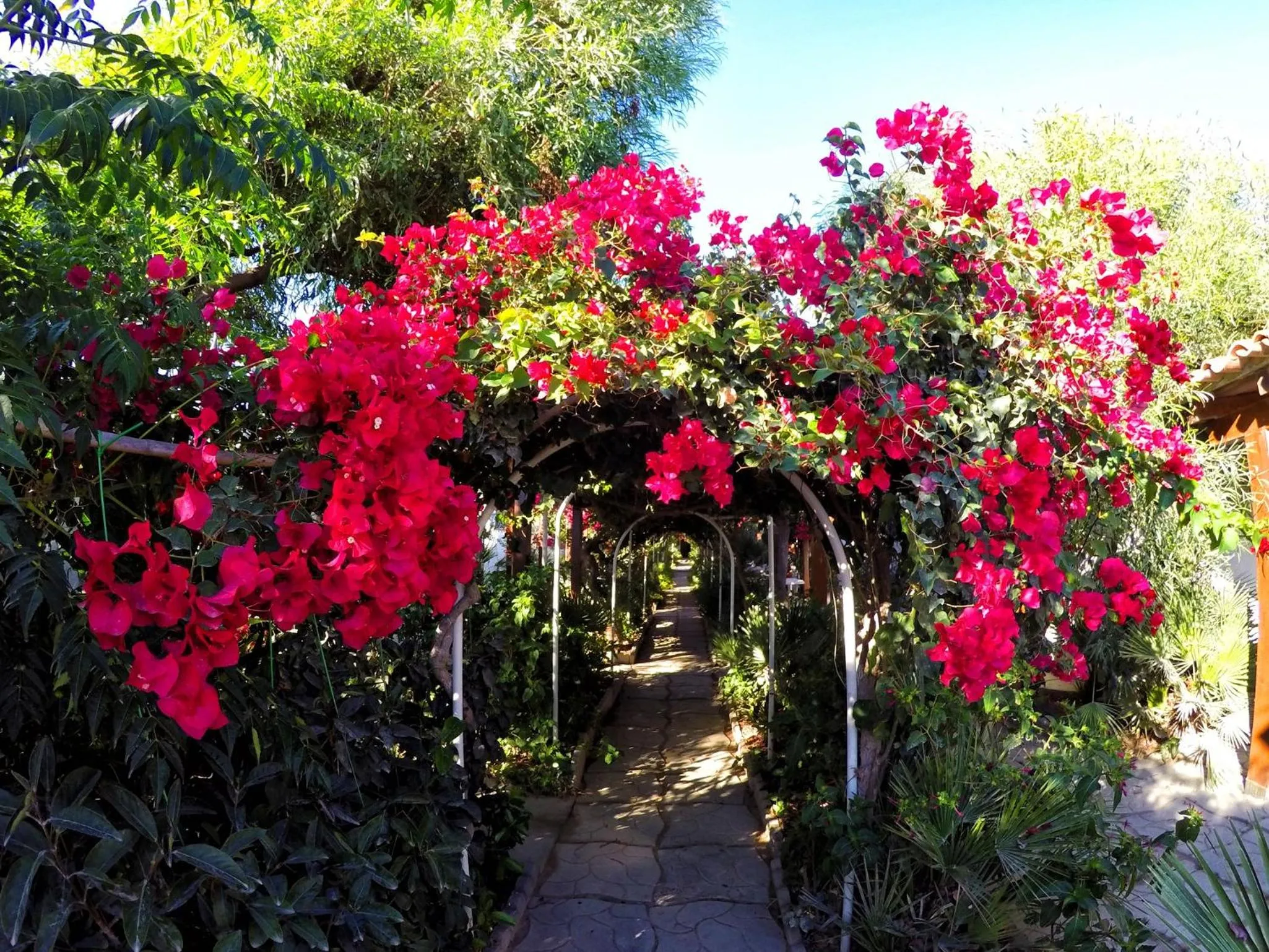Garden in 3Sirene