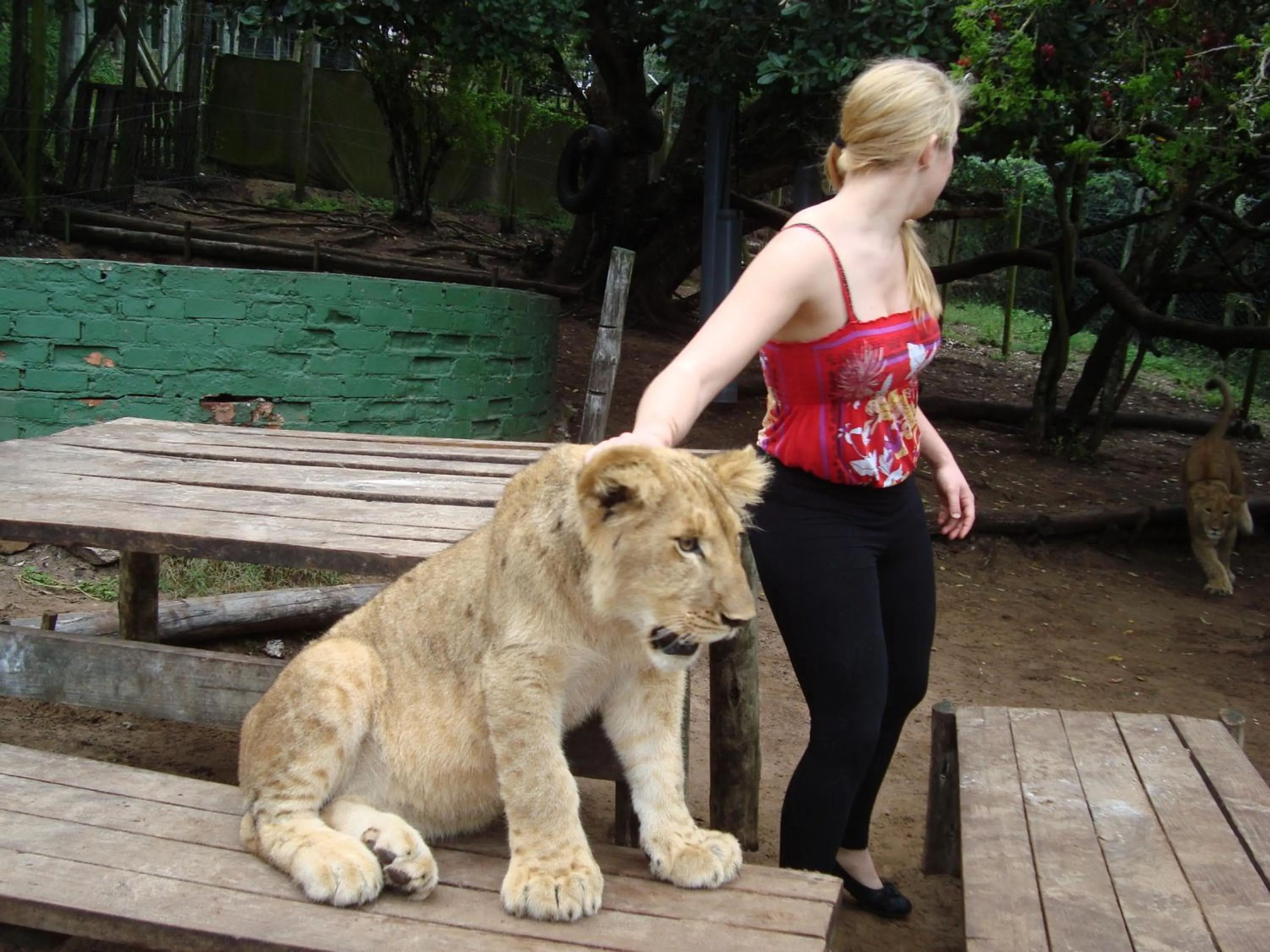 Animals in Jikeleza Lodge
