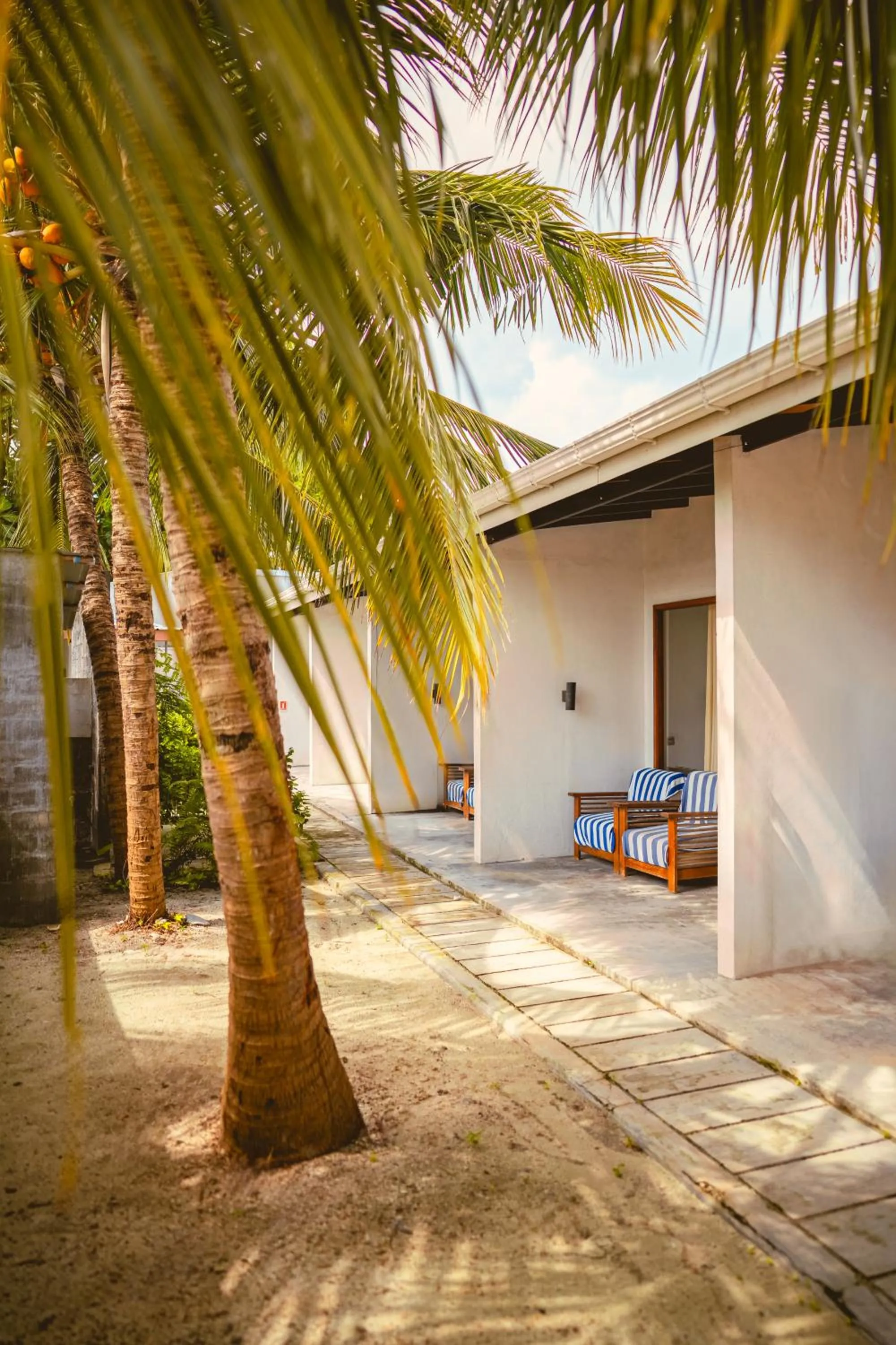 Garden in Madi Giri Guest House