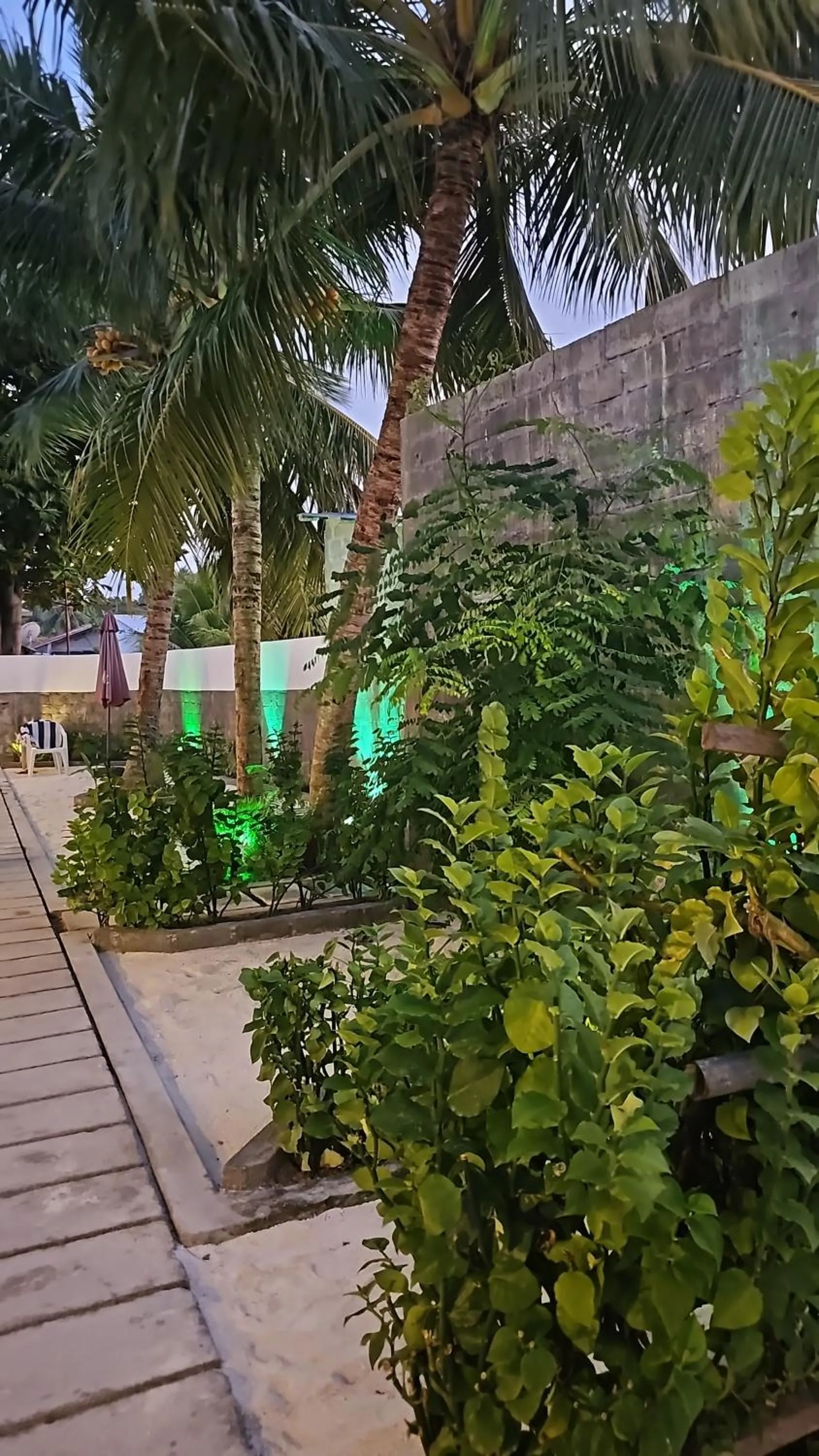 Garden in Madi Giri Guest House