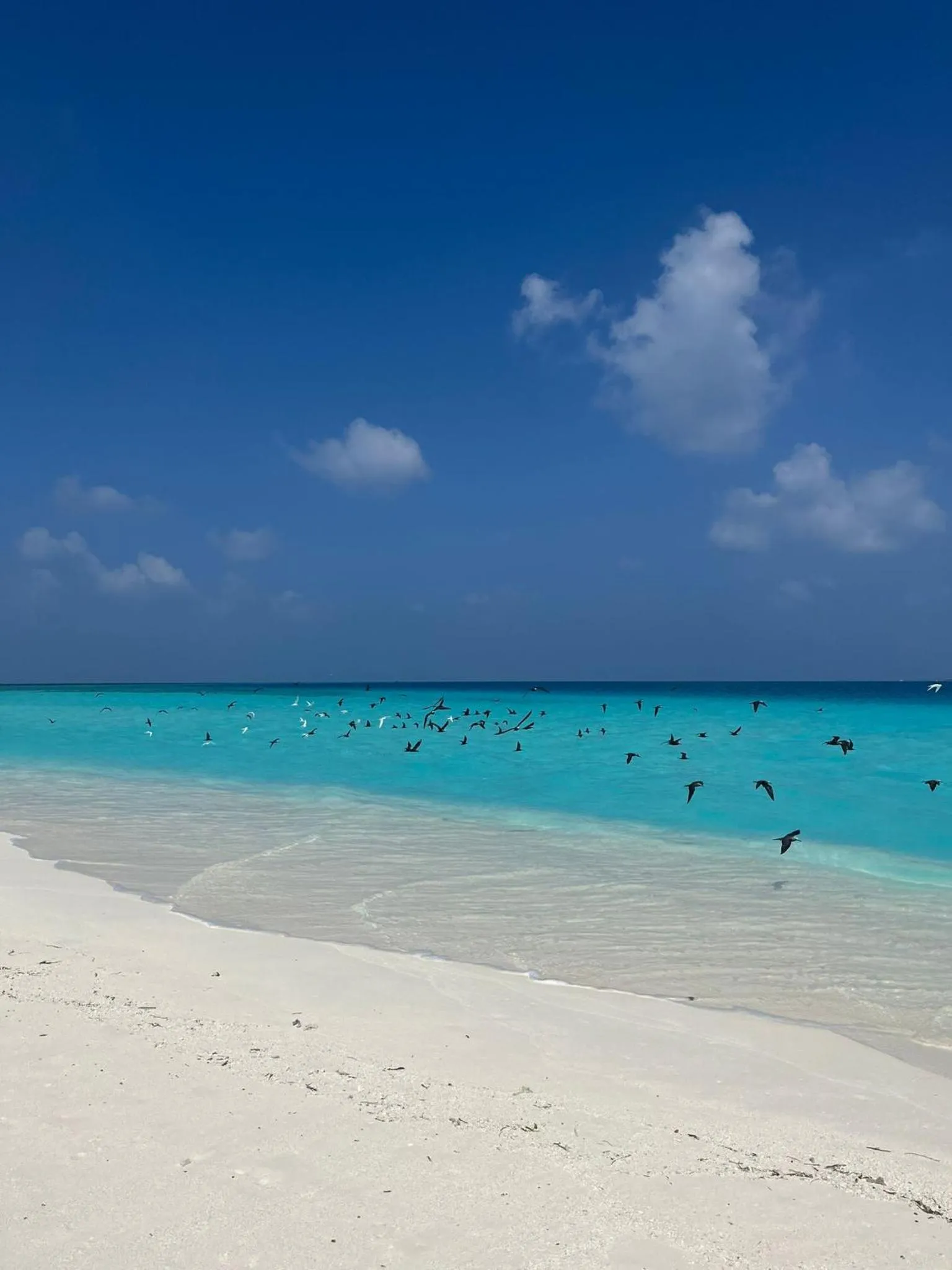 Beach in Madi Giri Guest House