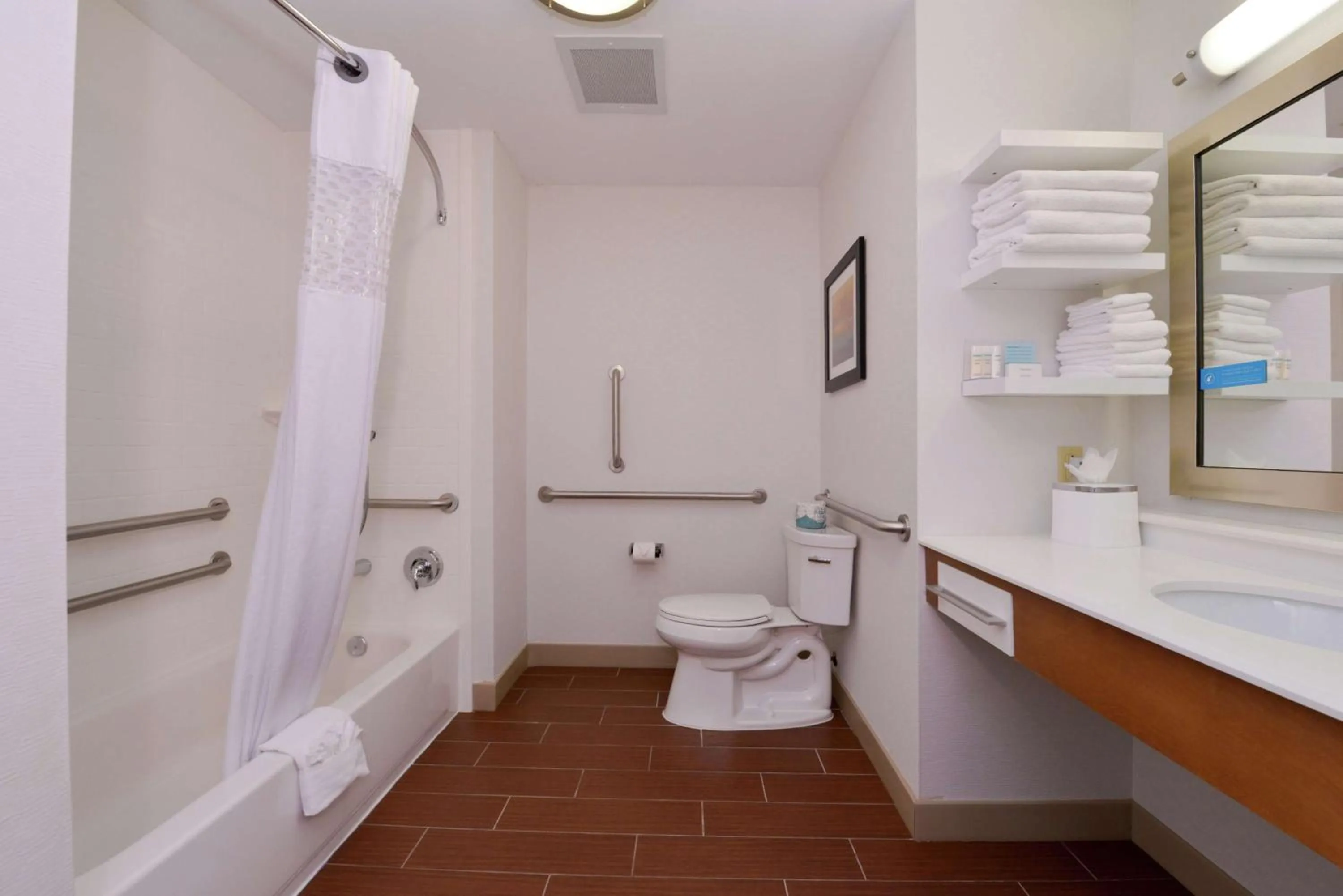 Bathroom in Hampton Inn & Suites by Hilton Lonoke
