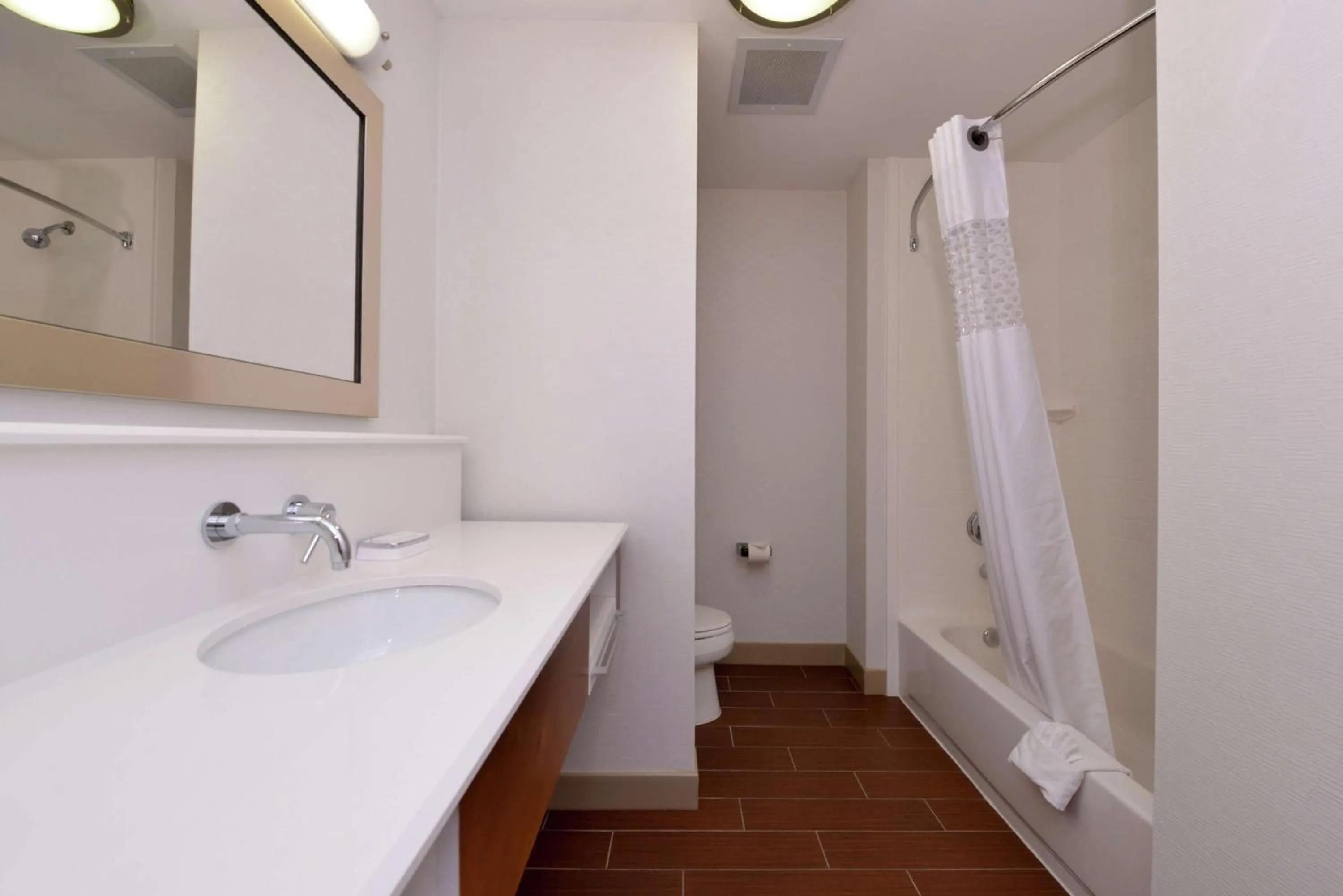 Bathroom in Hampton Inn & Suites by Hilton Lonoke