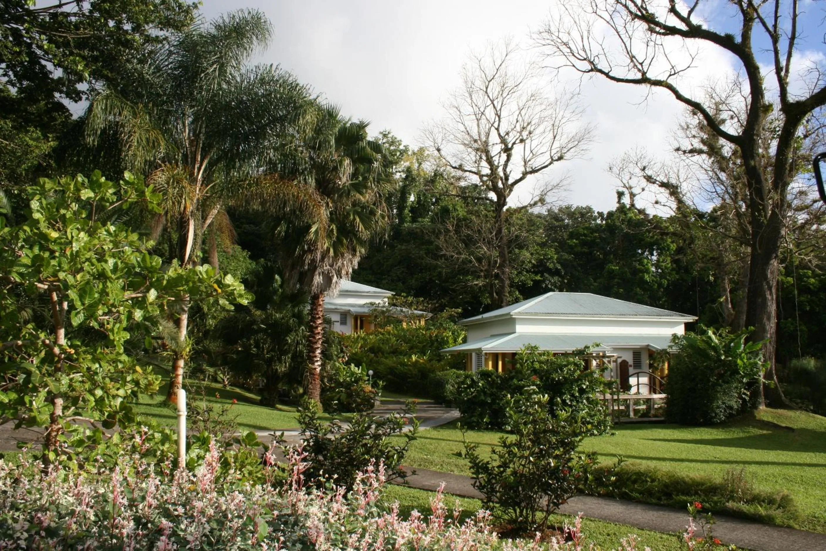 Property building in Les Cycas